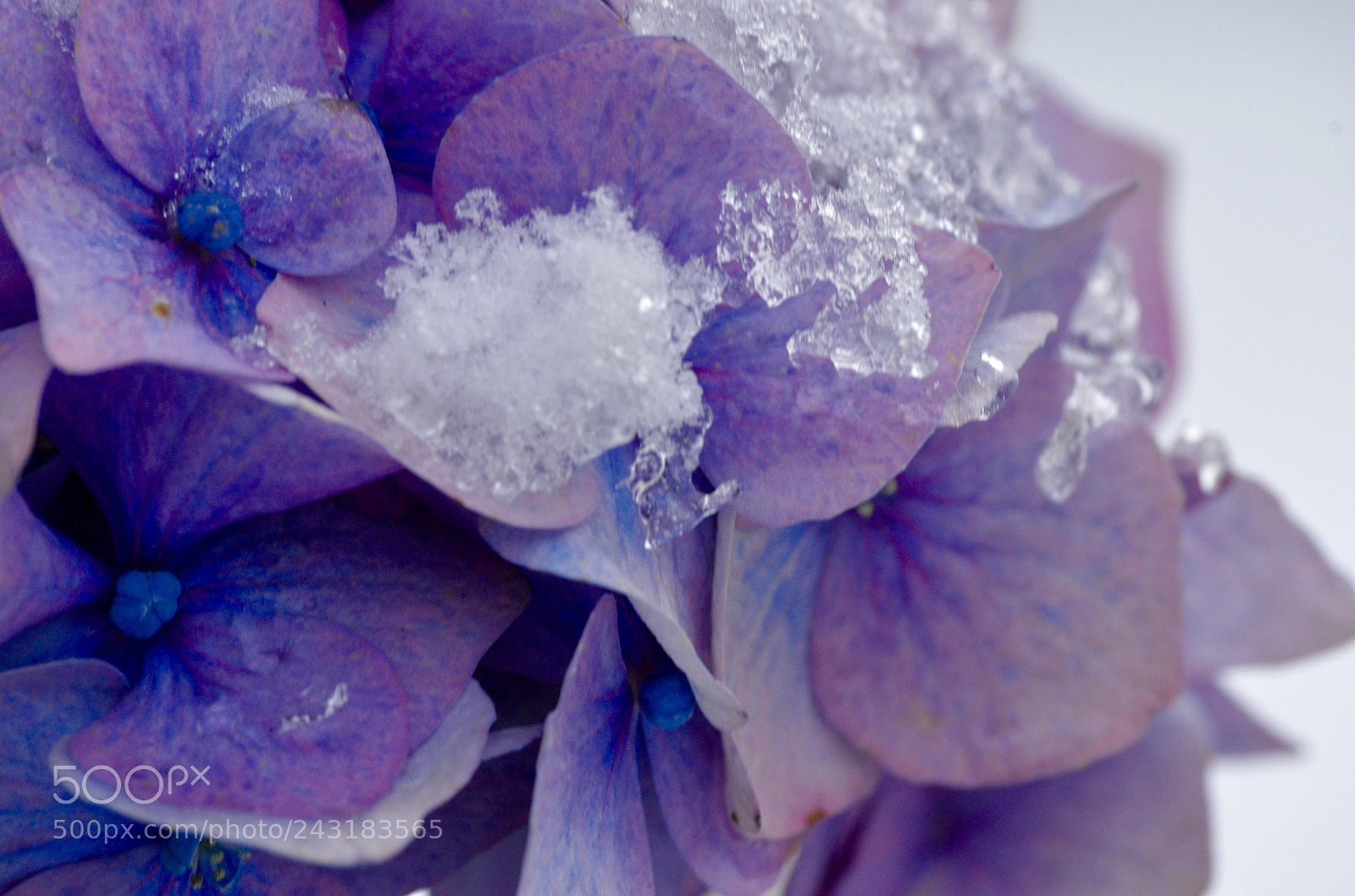 Nikon D5100 sample photo. Colours fading. photography