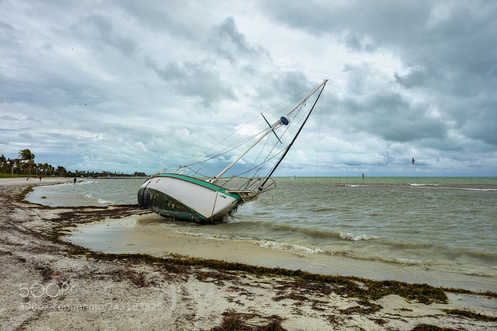 Canon EOS 5DS R sample photo. The ship photography