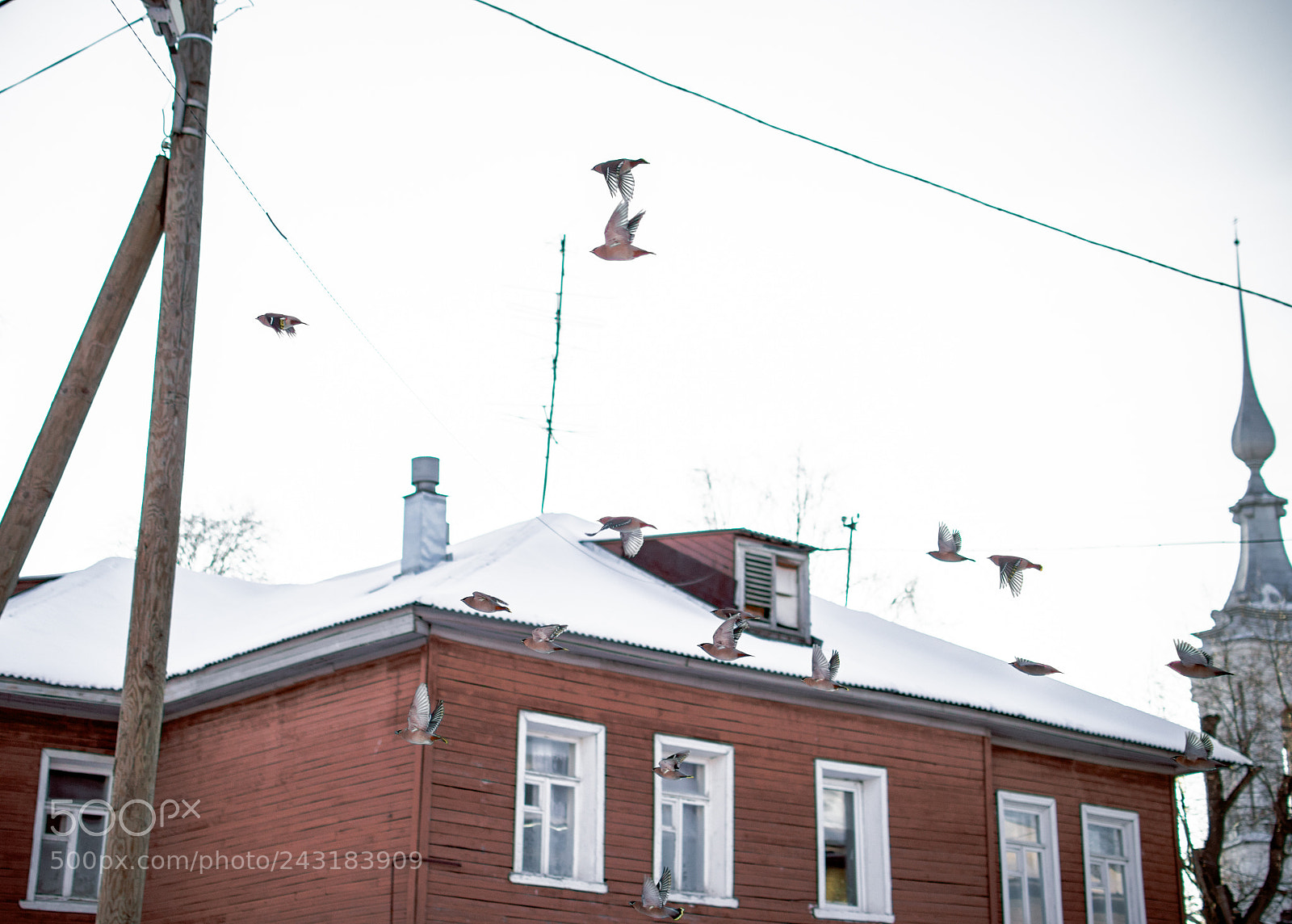 Nikon D3200 sample photo. Winter is here photography