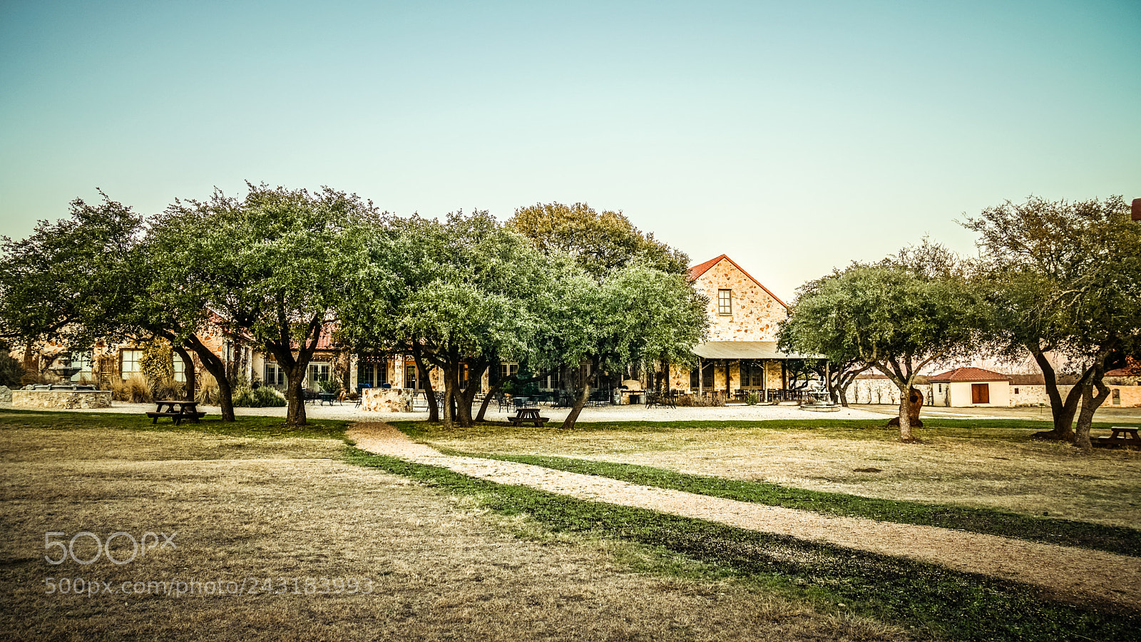 Sony a6500 sample photo. Vineyard at florence photography