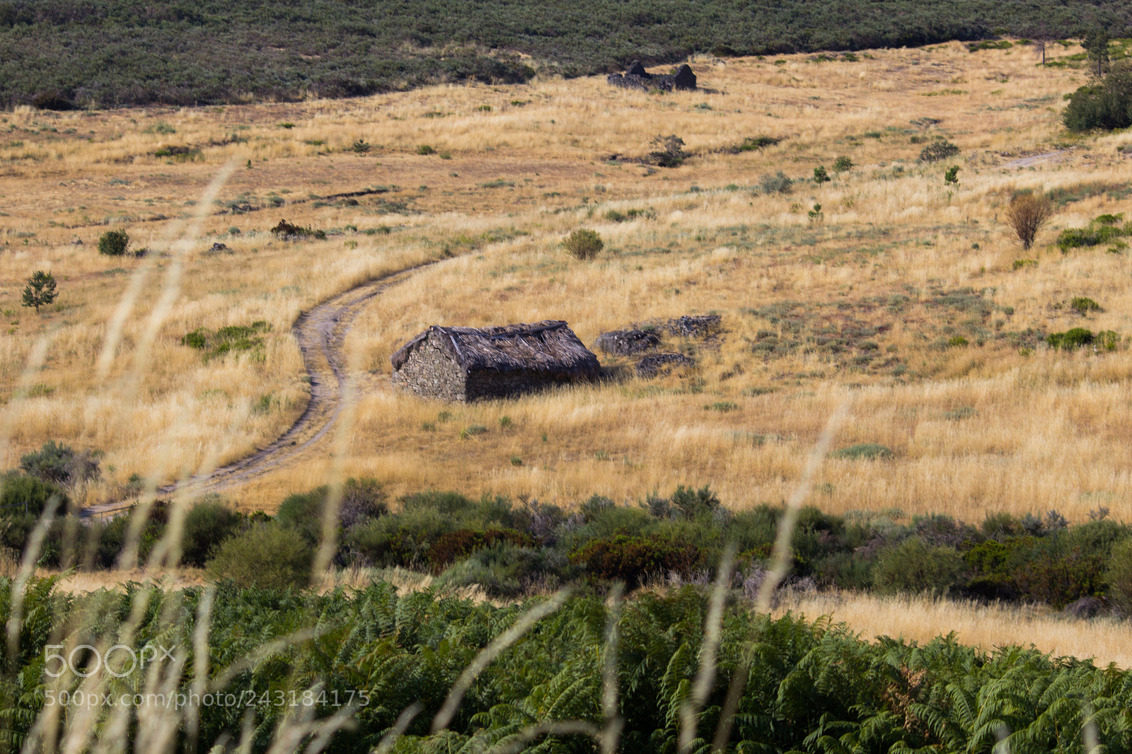Canon EOS 1200D (EOS Rebel T5 / EOS Kiss X70 / EOS Hi) sample photo. House on the prairie photography