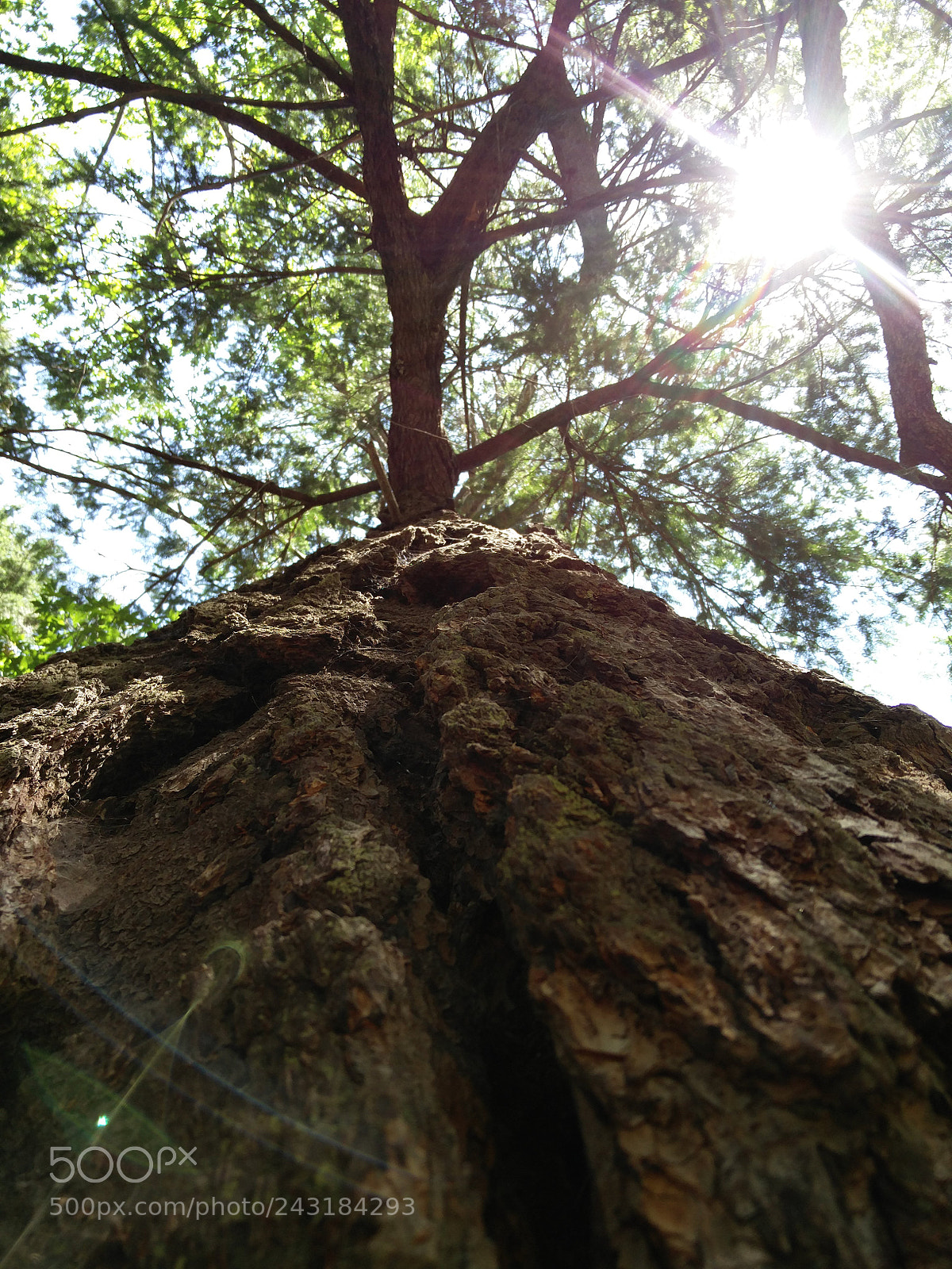 OnePlus 2 sample photo. Untitled photography