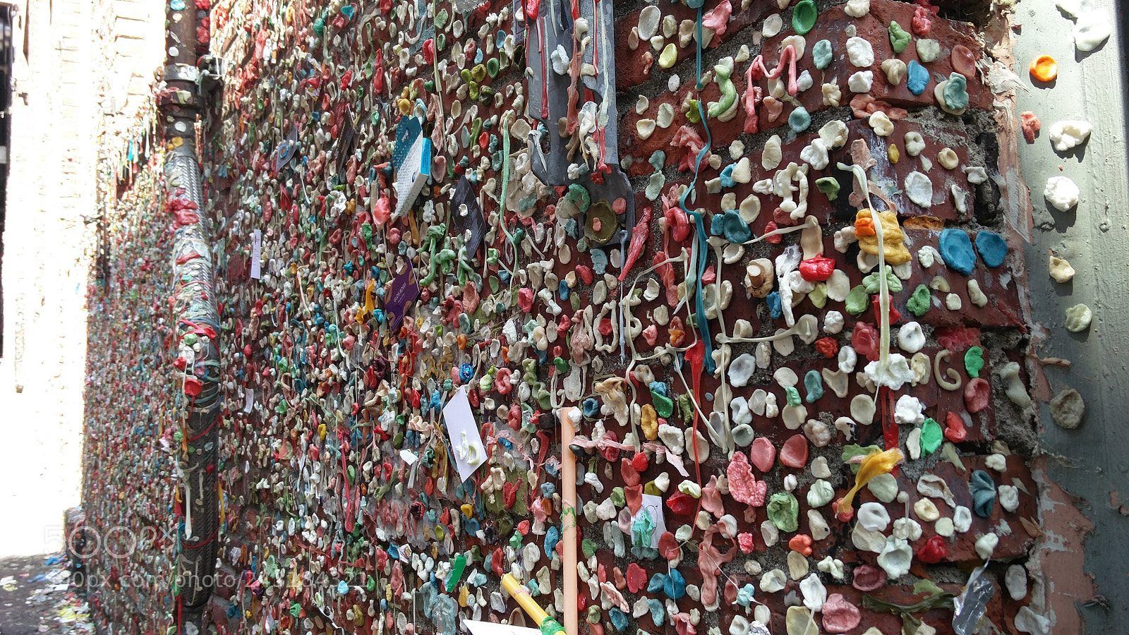 OnePlus 2 sample photo. Gumwall seattle photography