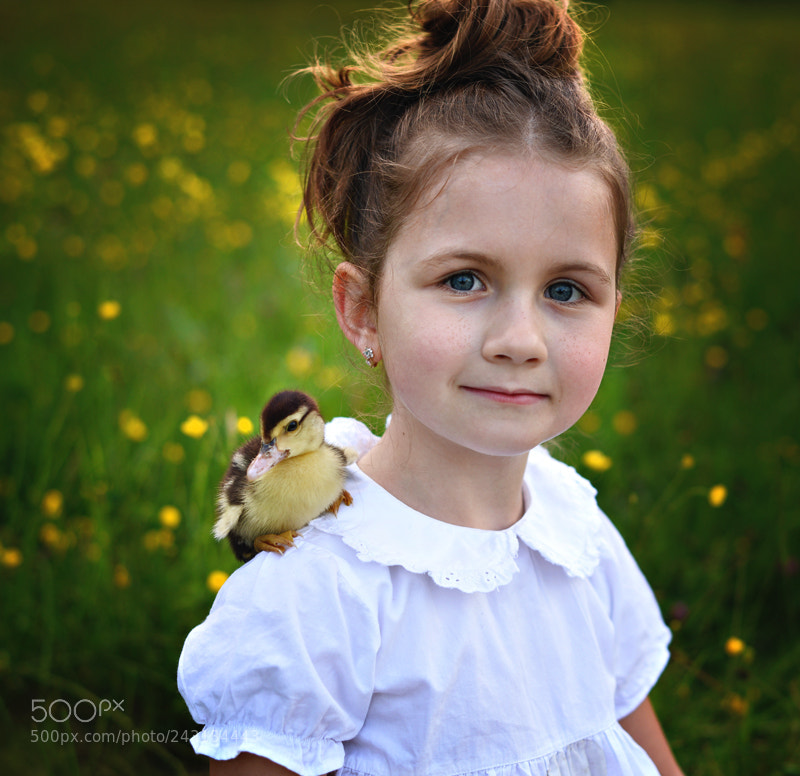 Nikon D610 sample photo. * * 8 photography