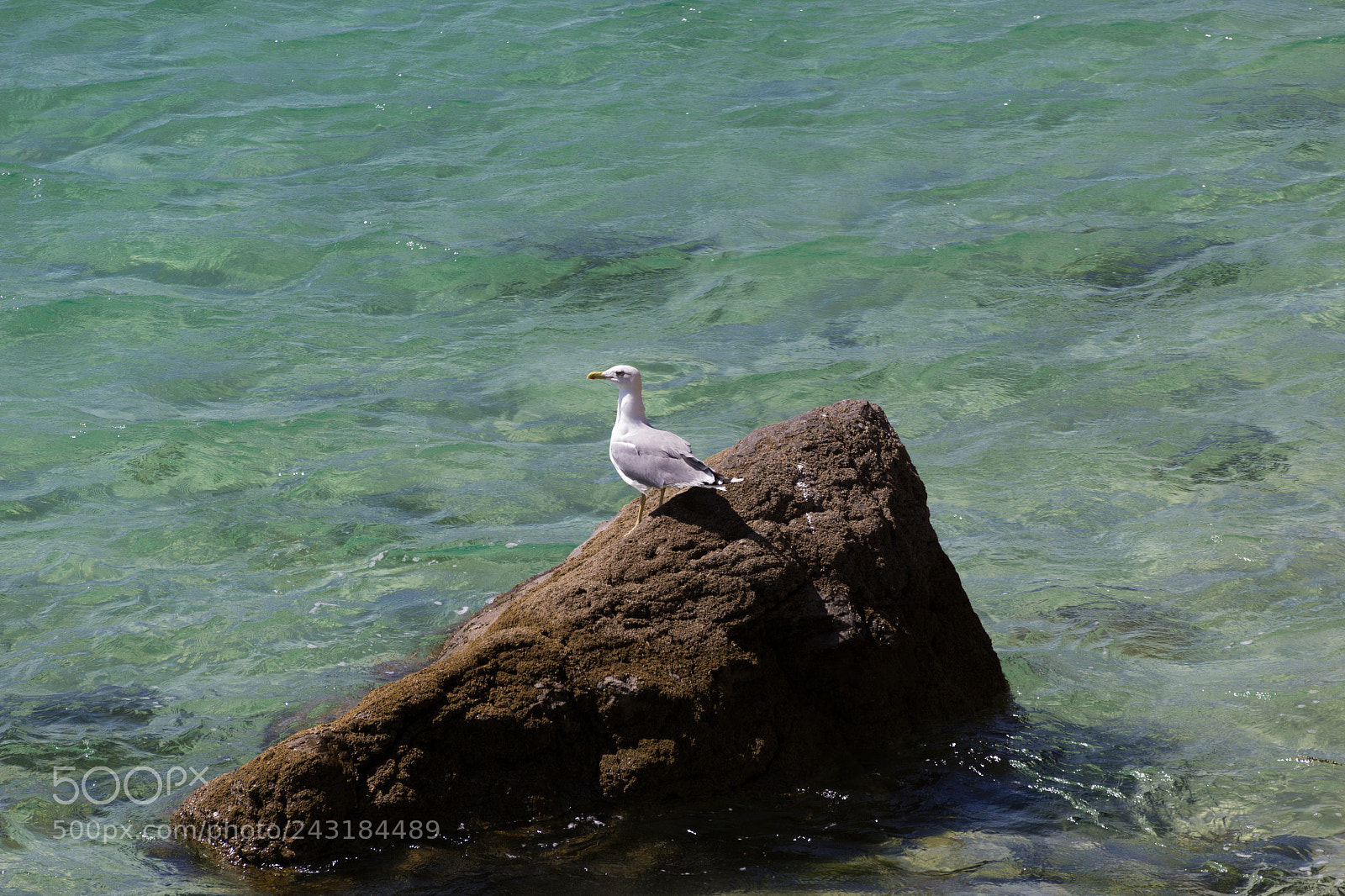 Canon EOS 1200D (EOS Rebel T5 / EOS Kiss X70 / EOS Hi) sample photo. Baywatch photography