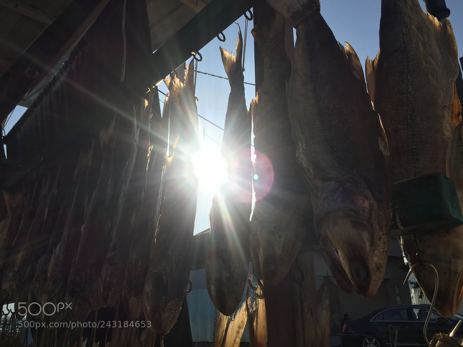 Apple iPhone 6 sample photo. 3 photography