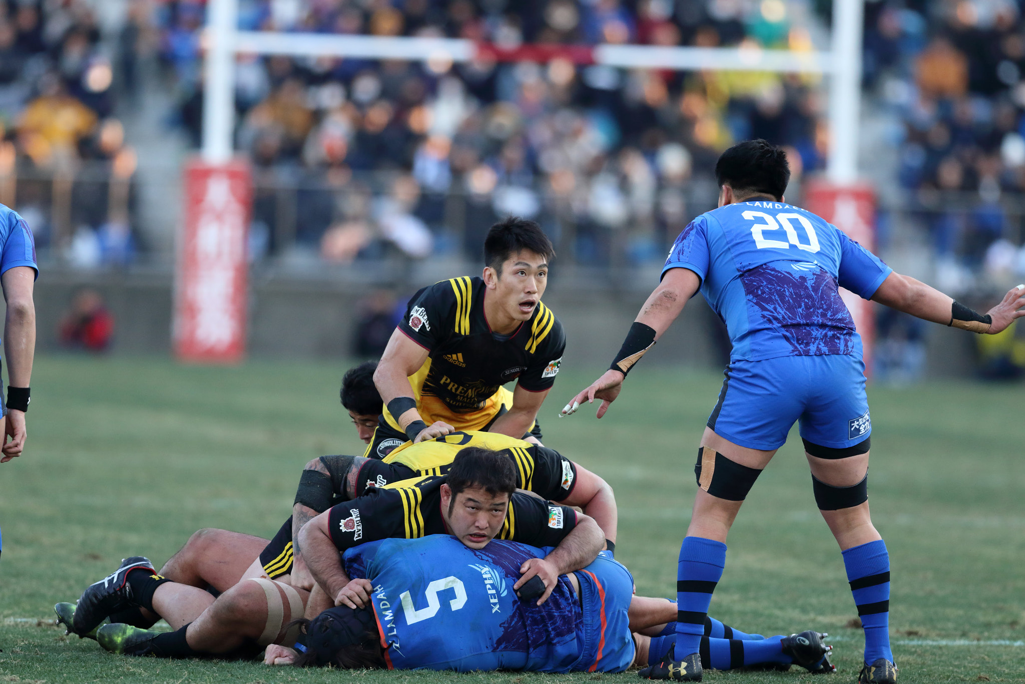 Canon EF 300mm F2.8L IS II USM sample photo. Untitled photography