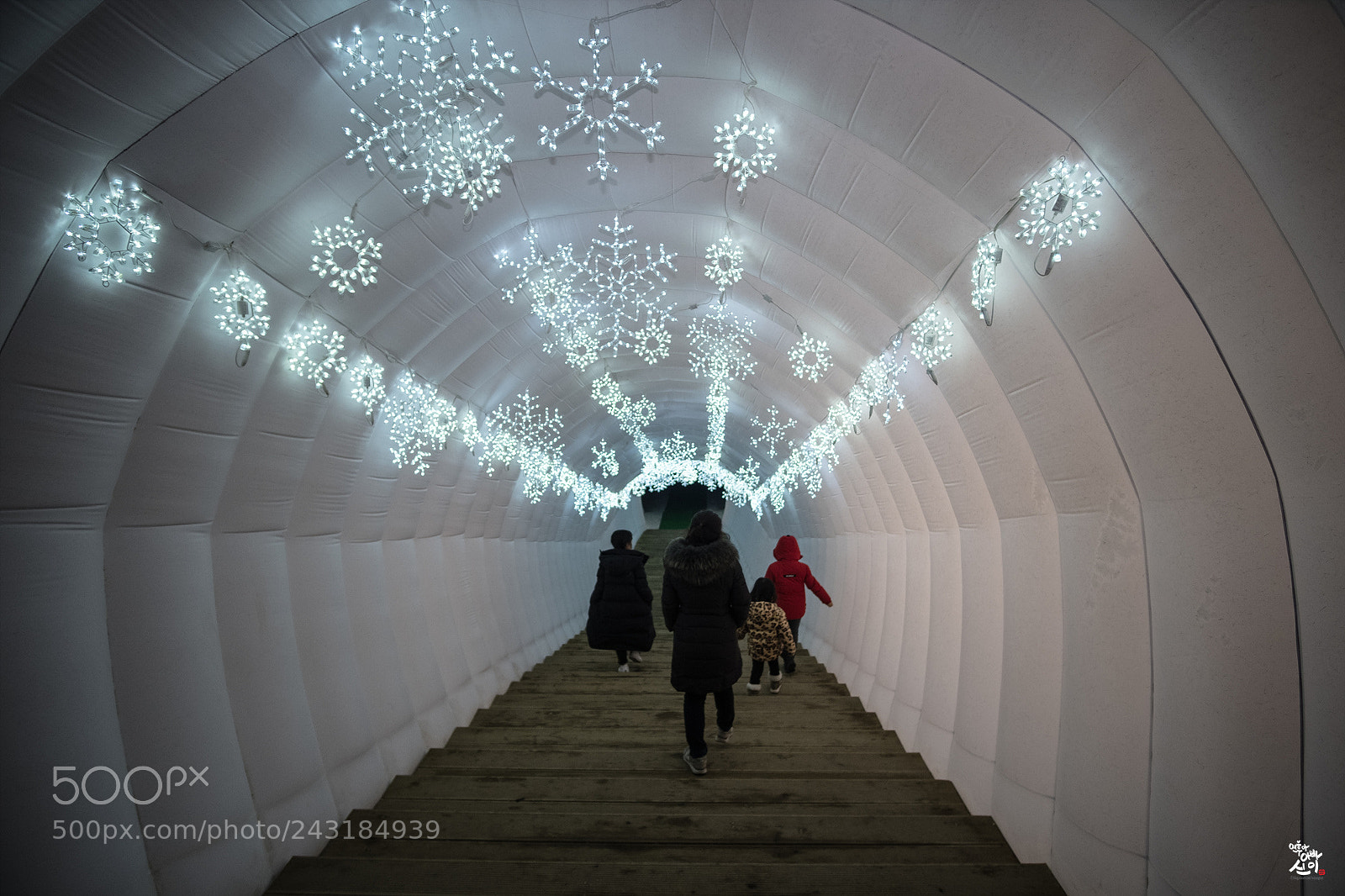 Fujifilm X-T2 sample photo. Snow flower tunnel photography