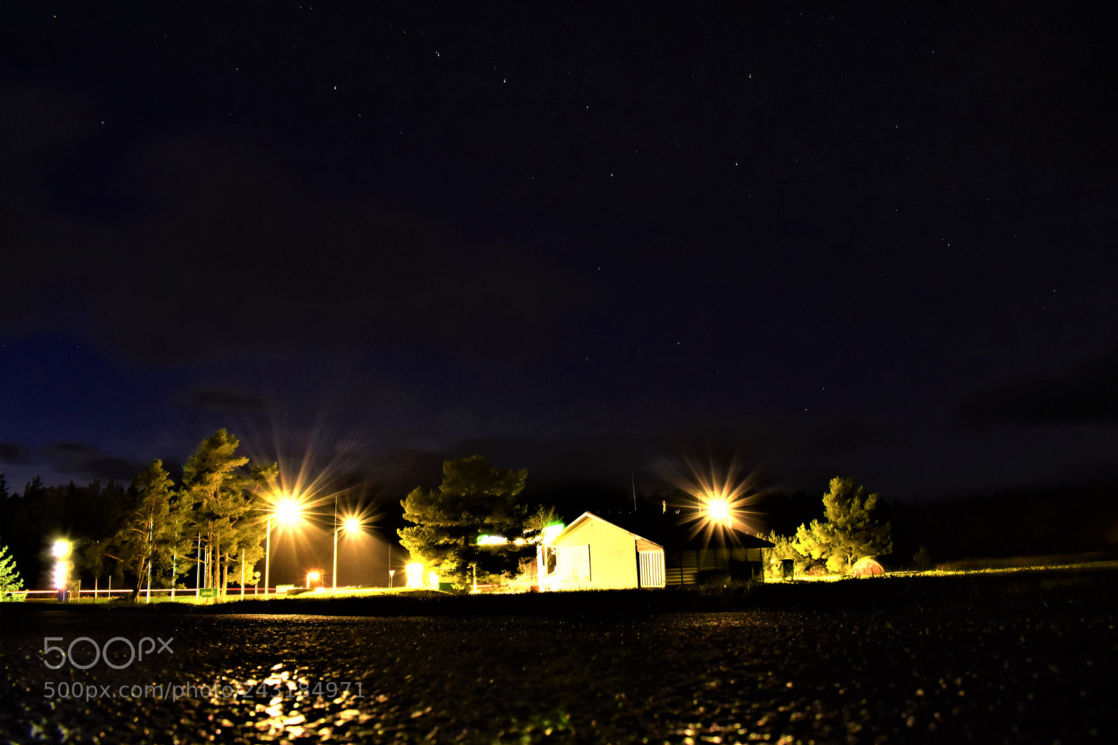 Nikon D5600 sample photo. Dsc photography