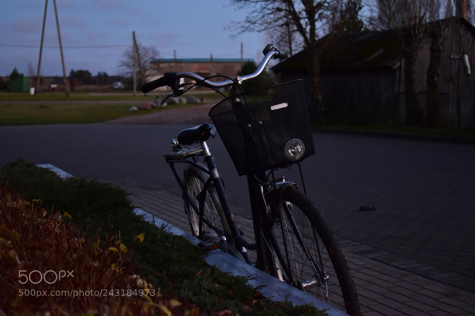 Nikon D5600 sample photo. Copy photography