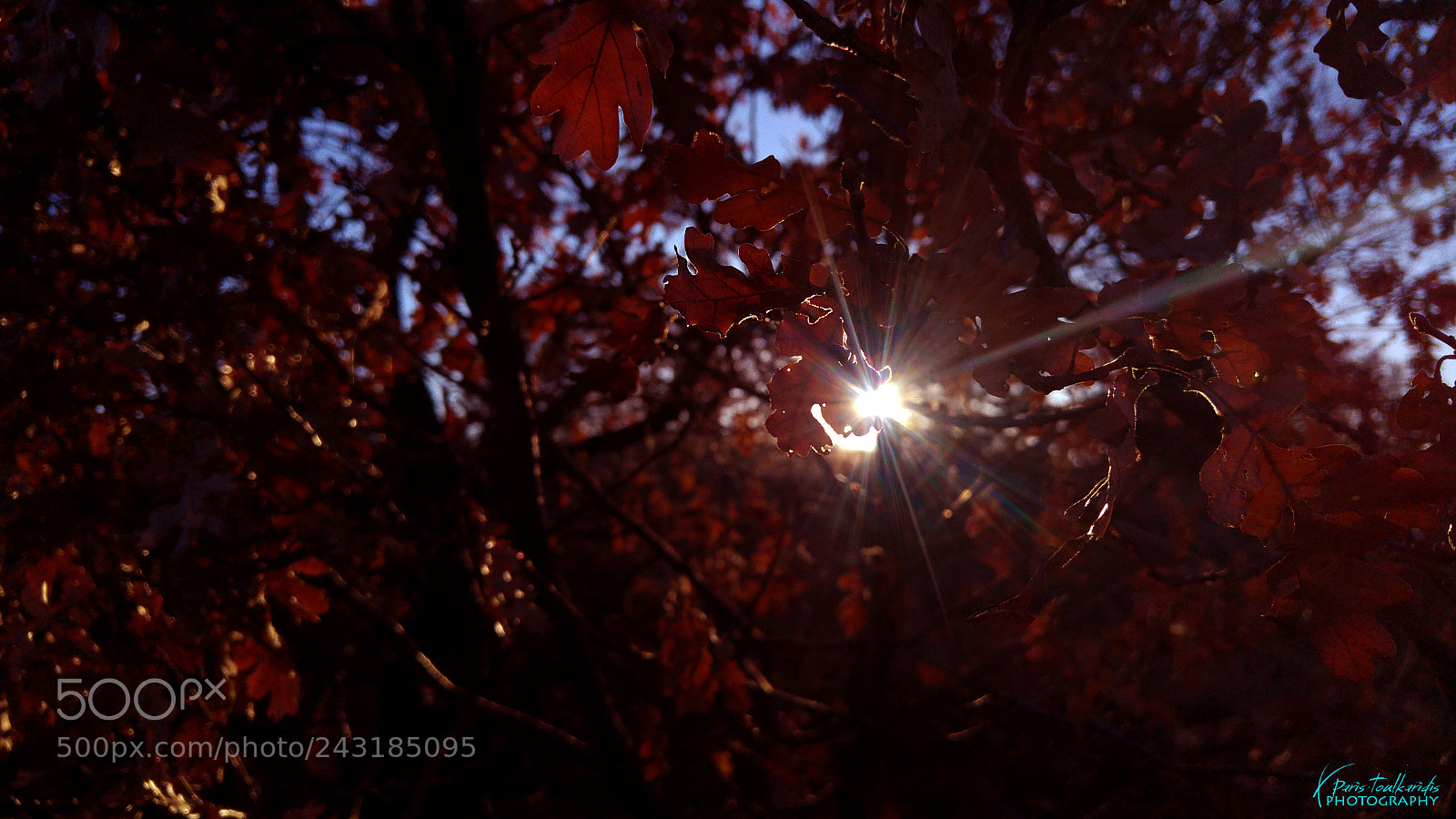 LG G4 sample photo. Sun glare photography