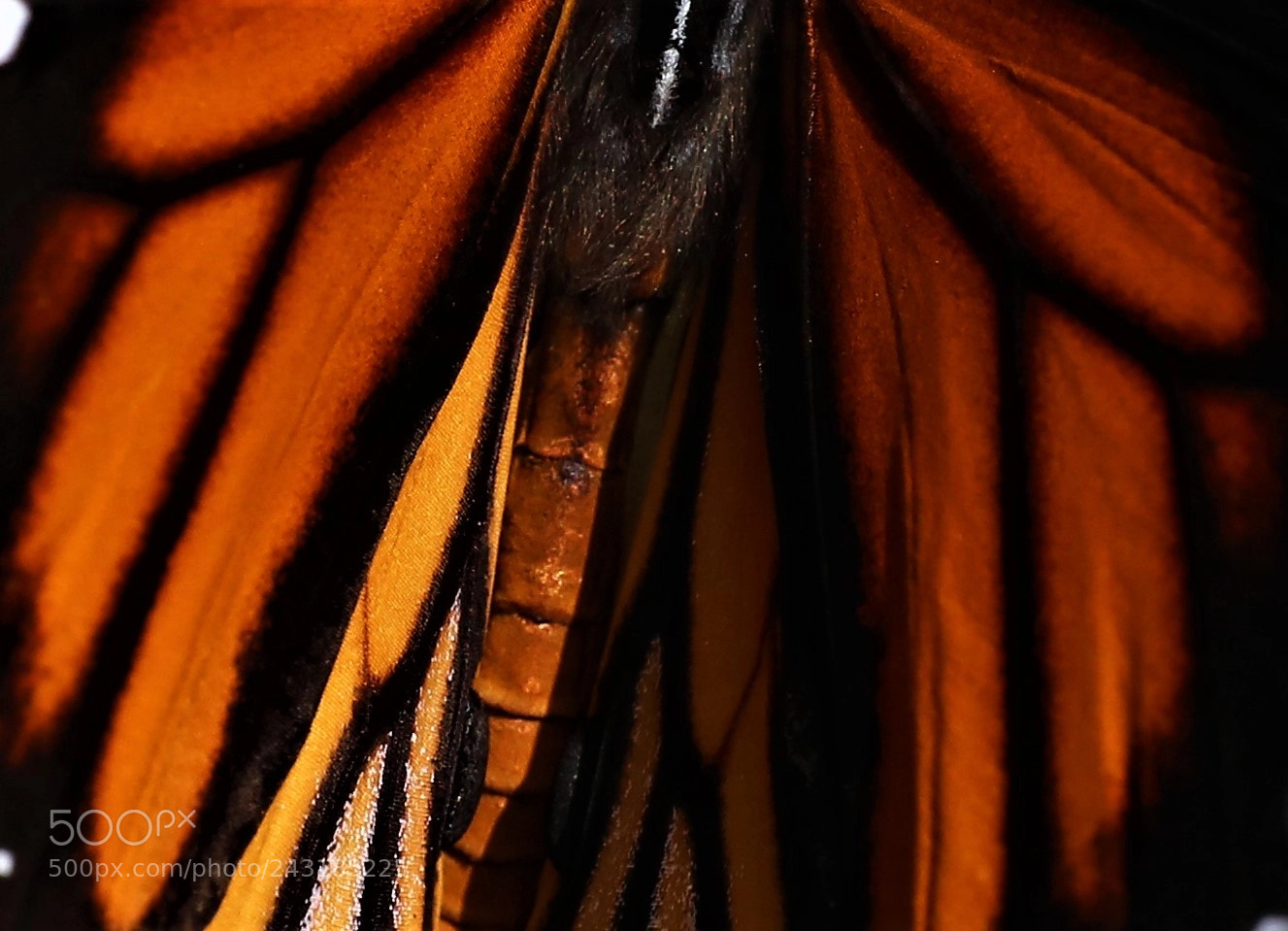 Canon EOS 5DS R sample photo. Beautiful photography