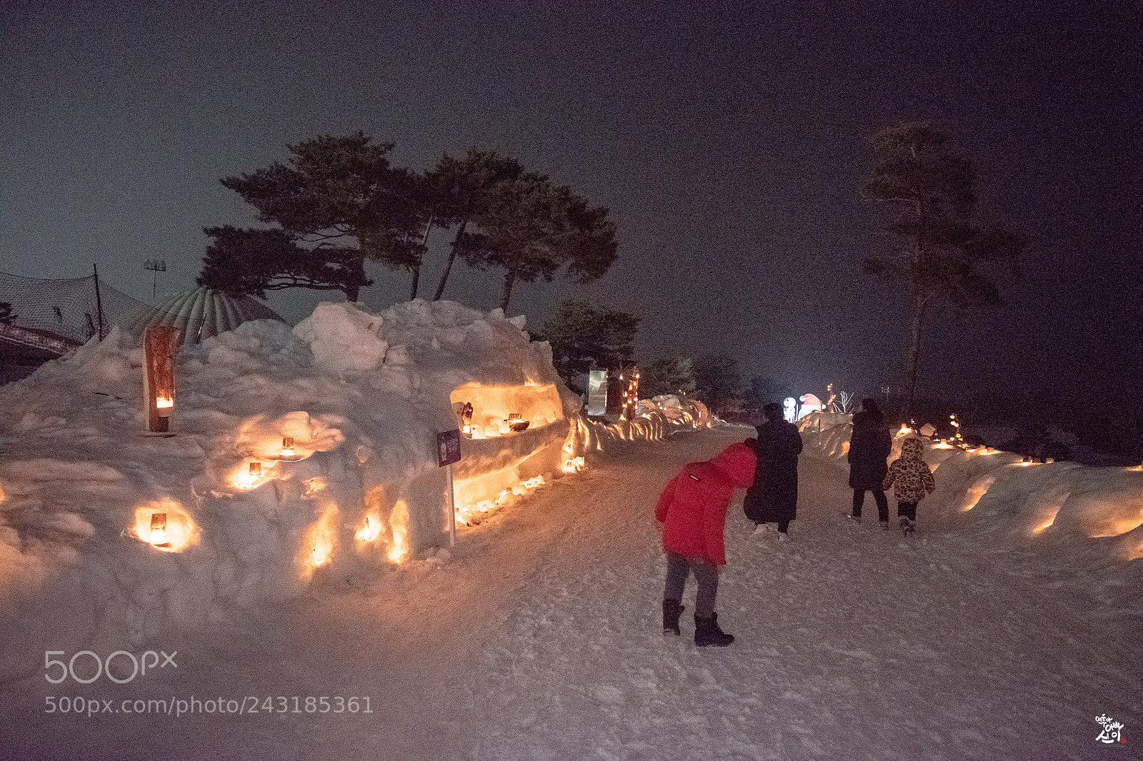Fujifilm X-T2 sample photo. Winter wonder land photography
