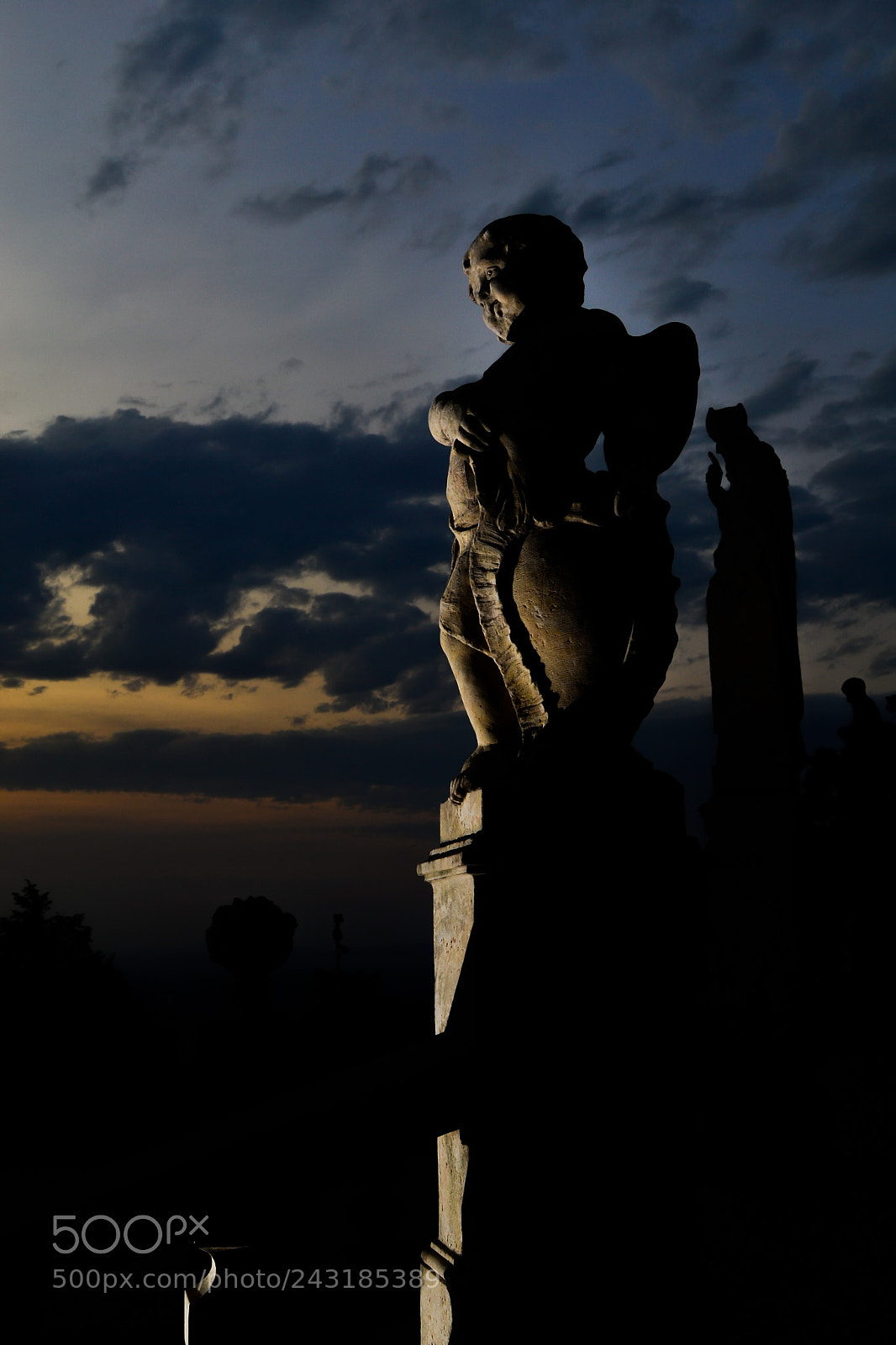 Nikon D3100 sample photo. Untitled photography
