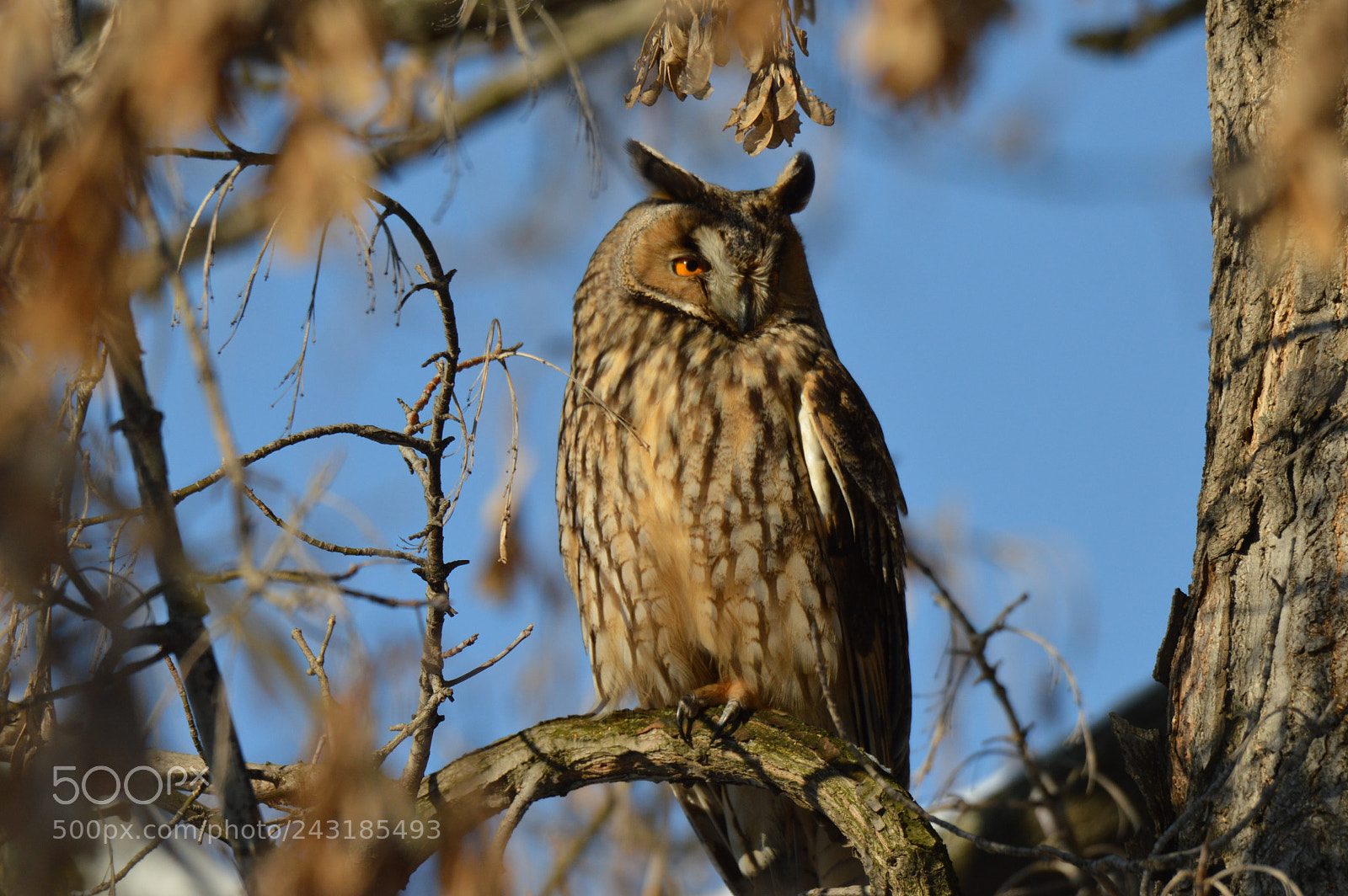 Nikon D3200 sample photo. Untitled photography