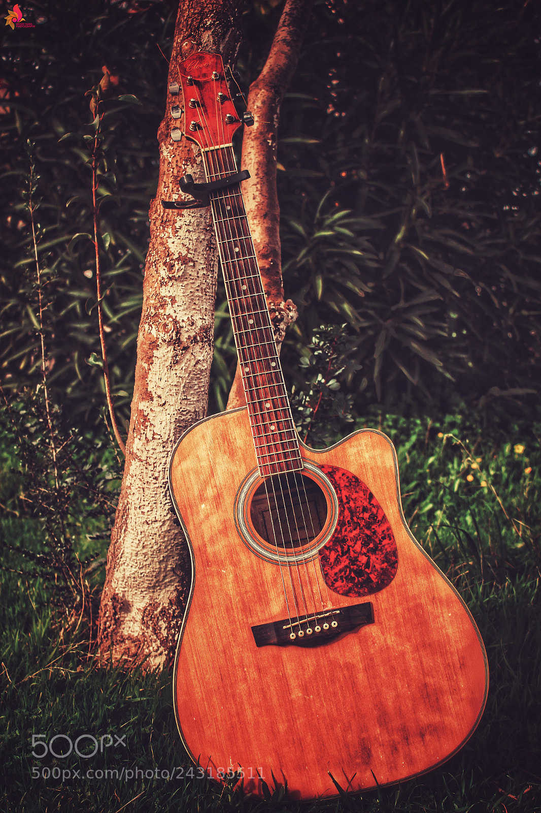 Canon EOS 100D (EOS Rebel SL1 / EOS Kiss X7) sample photo. Guitare photography