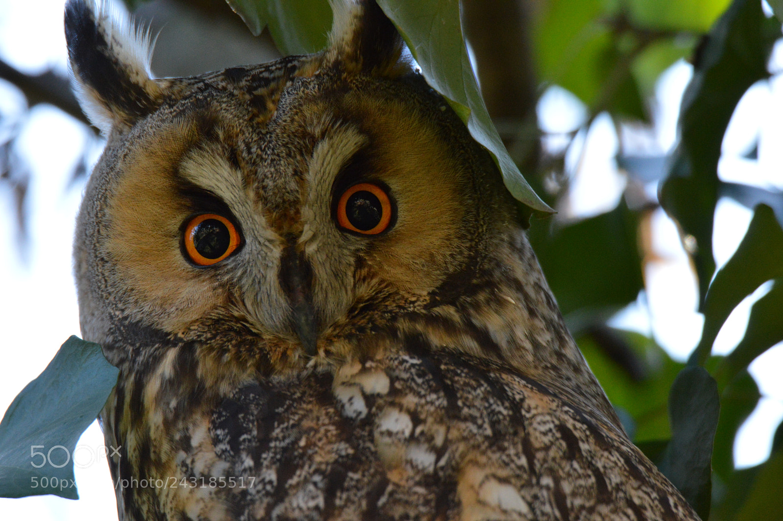 Nikon D3200 sample photo. Untitled photography