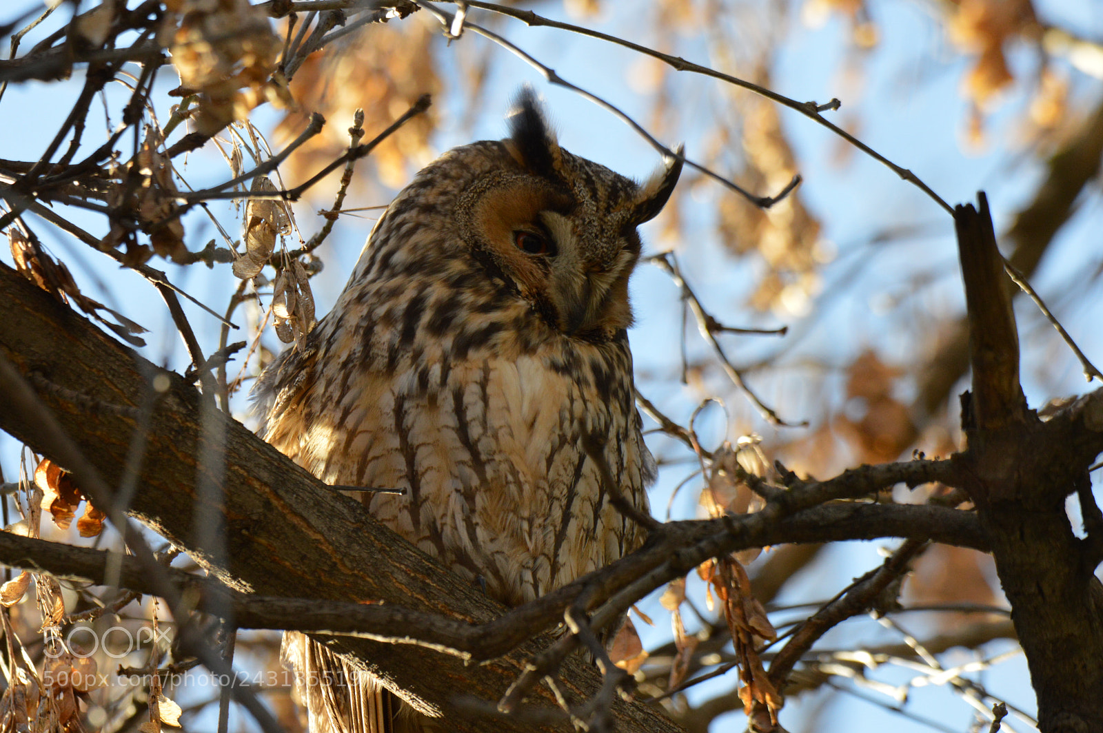 Nikon D3200 sample photo. Untitled photography