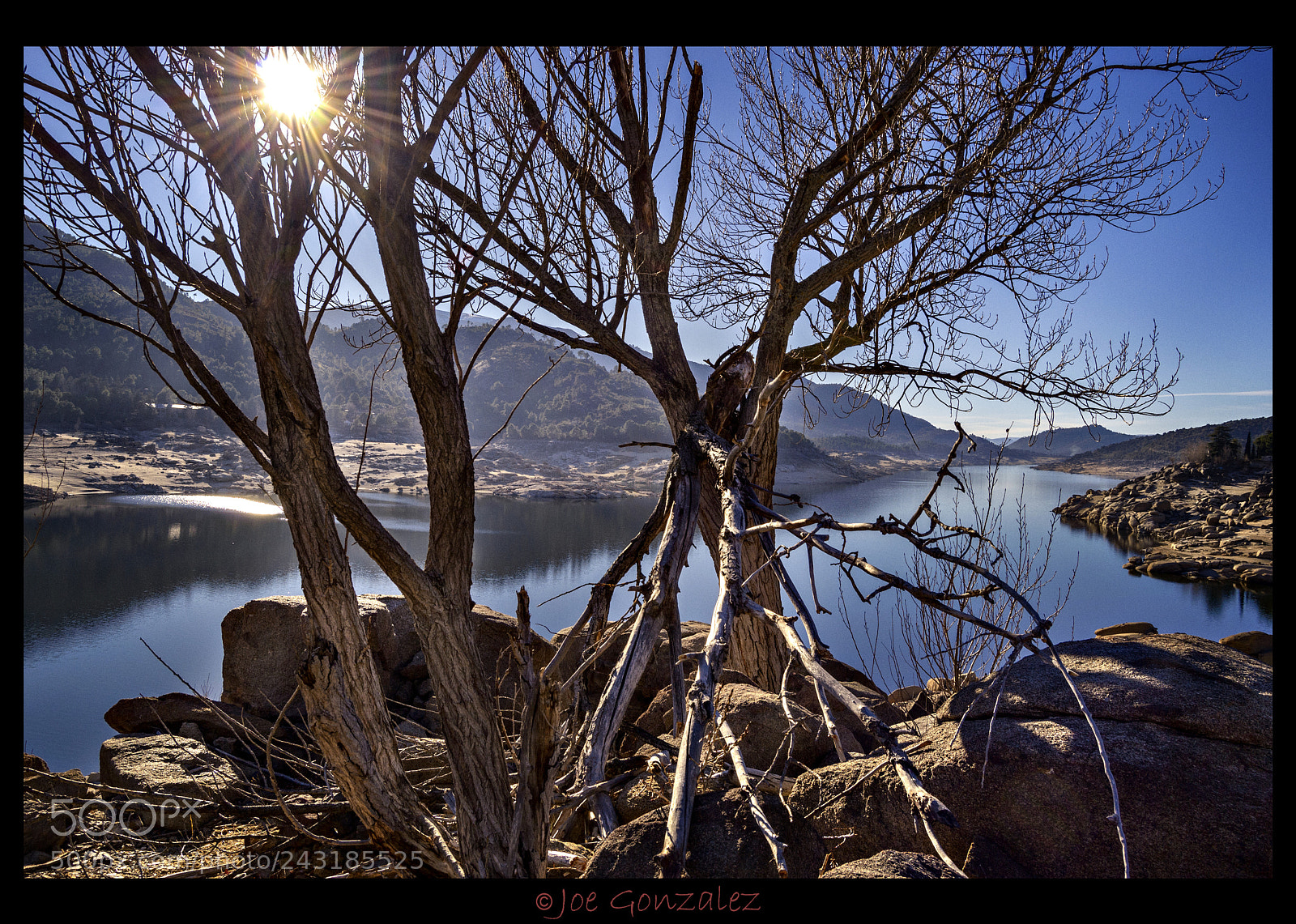 Nikon D3100 sample photo. Dry trees photography