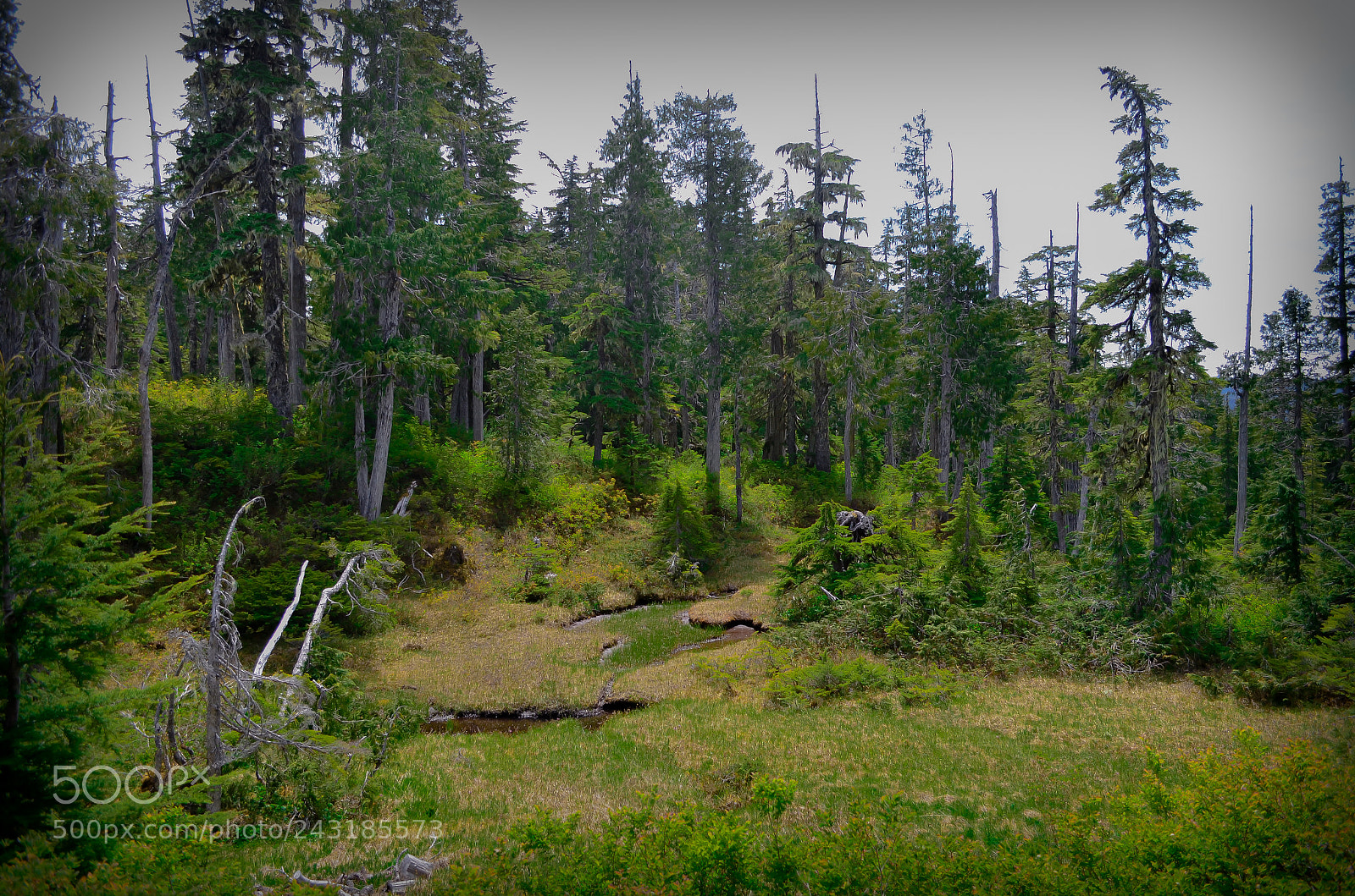 Nikon D5100 sample photo. Mountain wounderland photography