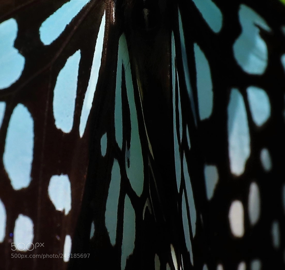 Canon EOS 5DS R sample photo. Another beauty photography