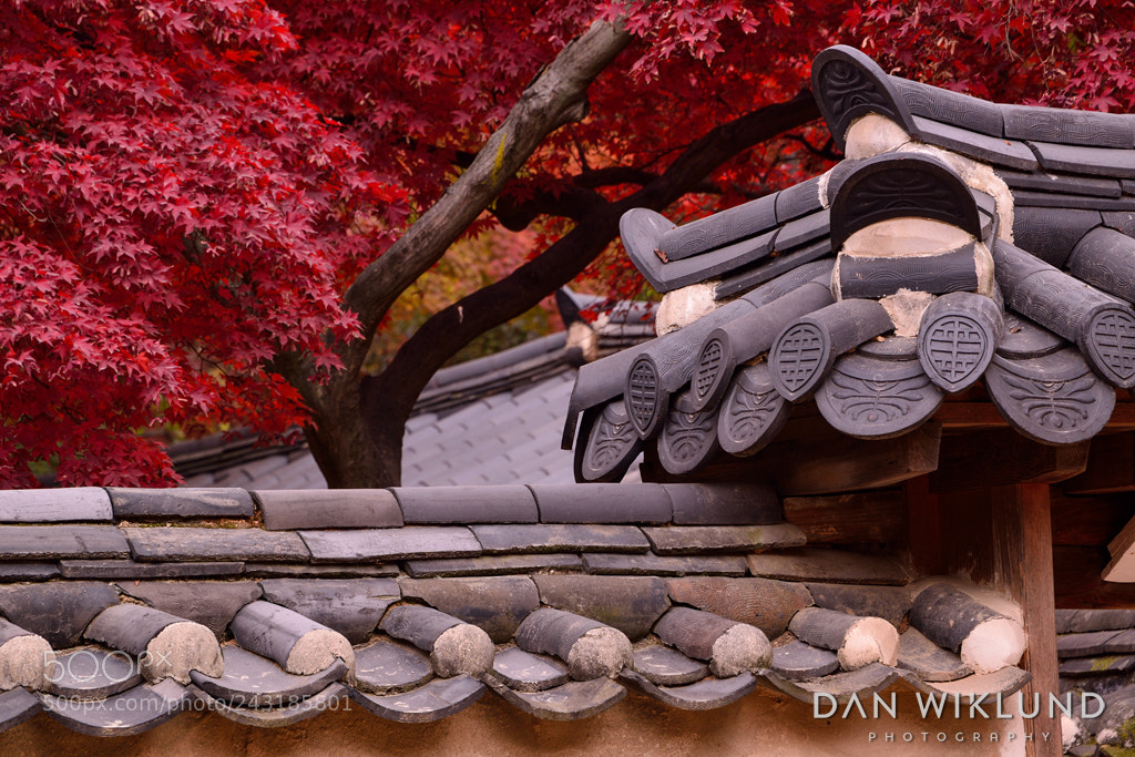 Nikon D800 sample photo. Temple tiles and red photography