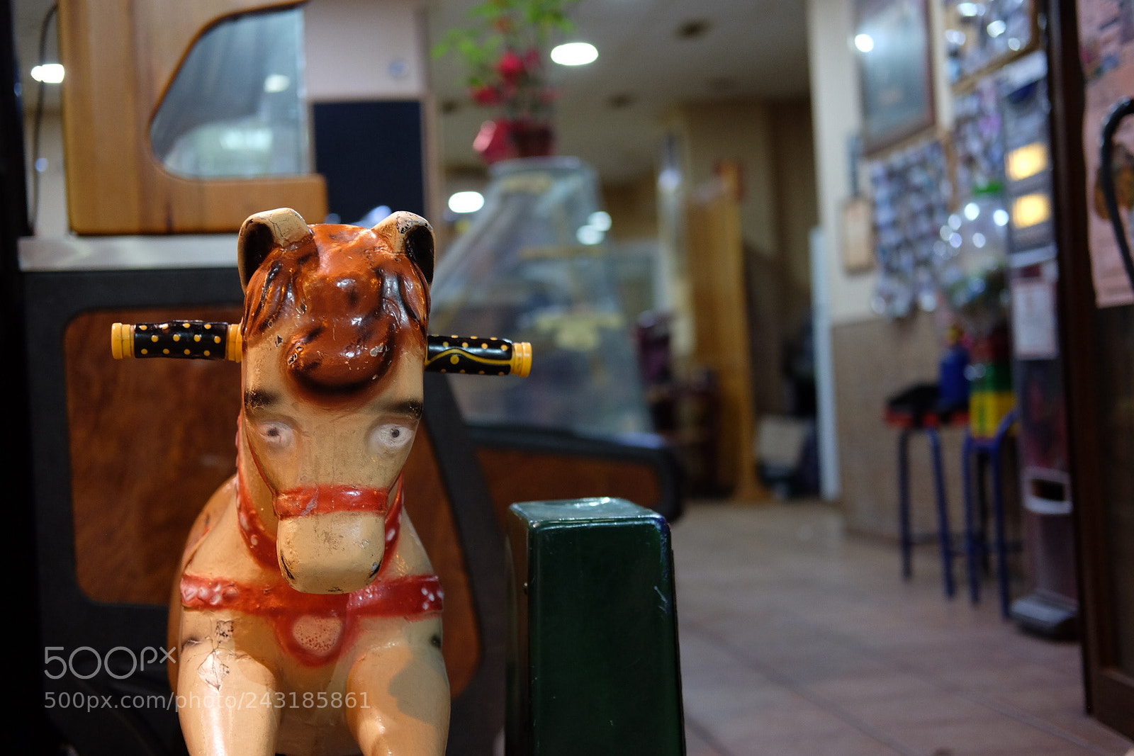 Fujifilm X-T1 sample photo. Poor little horse... photography