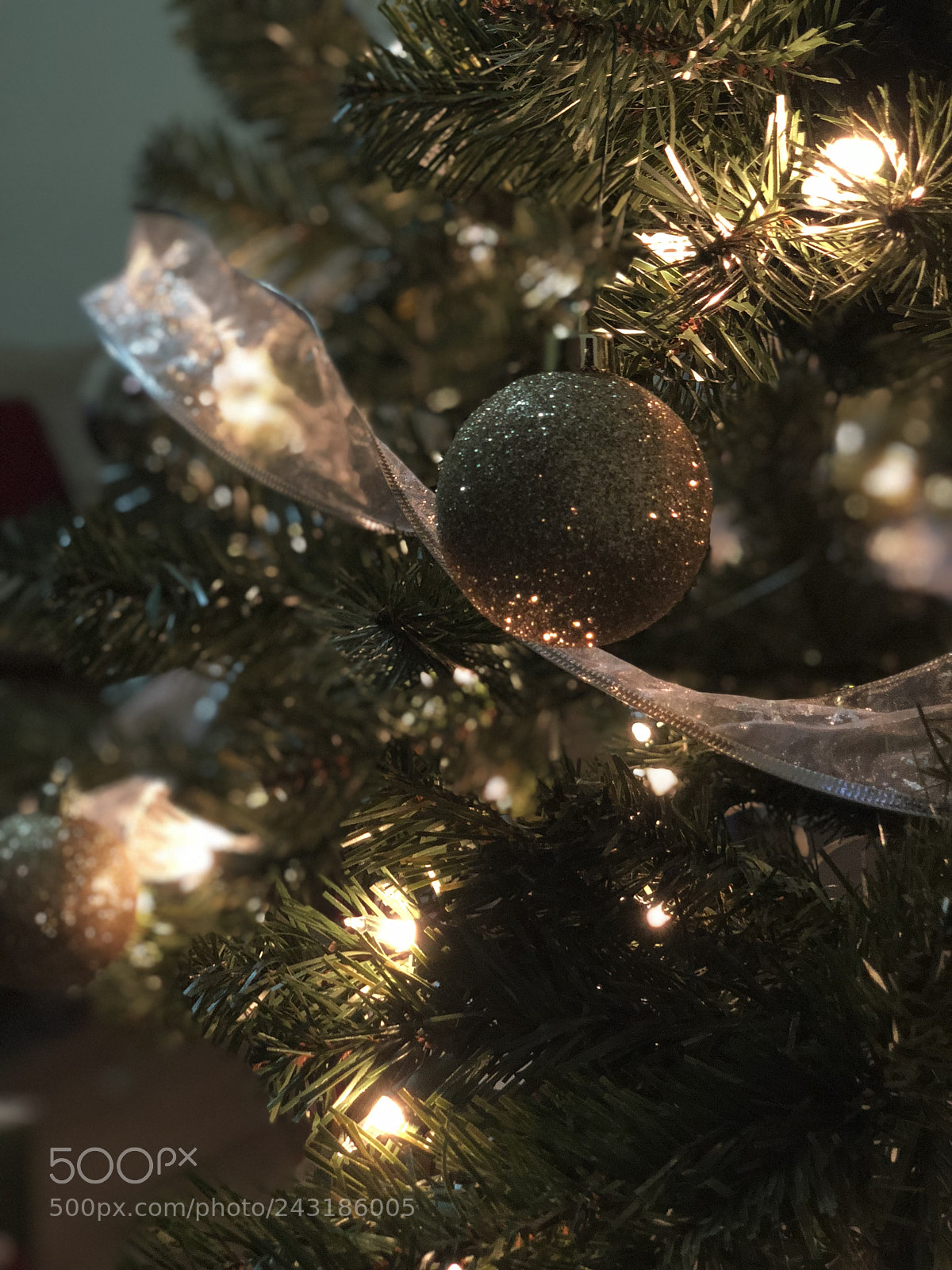 Apple iPhone X sample photo. Holly jolly christmas. photography