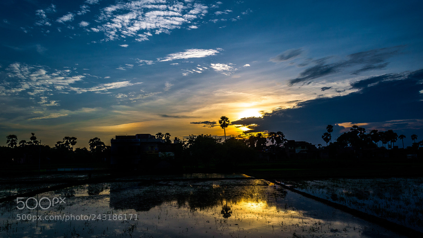 Nikon D5100 sample photo. Nature's canvas photography