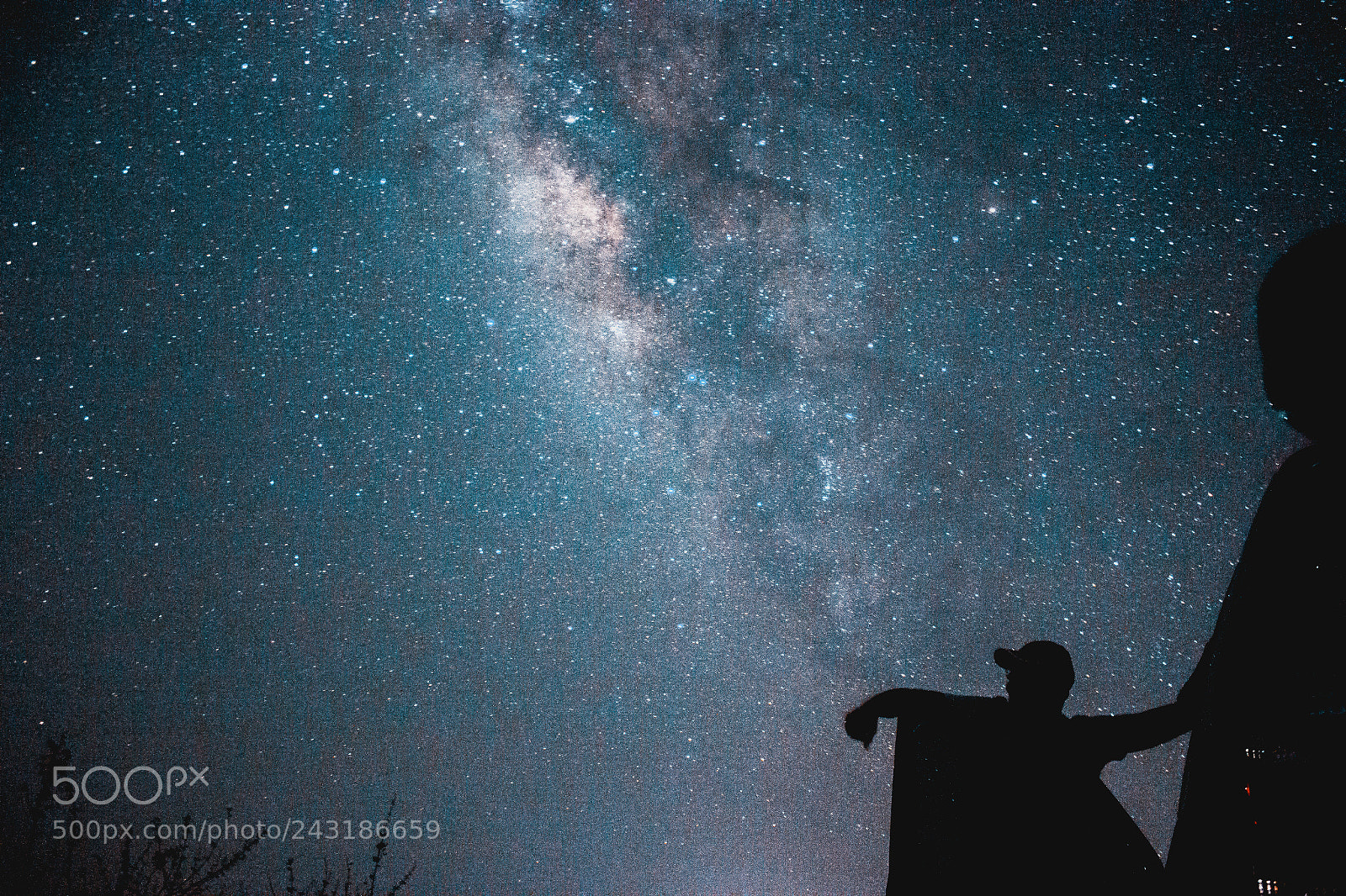 Canon EOS 550D (EOS Rebel T2i / EOS Kiss X4) sample photo. Milkyway enroute tadoba photography