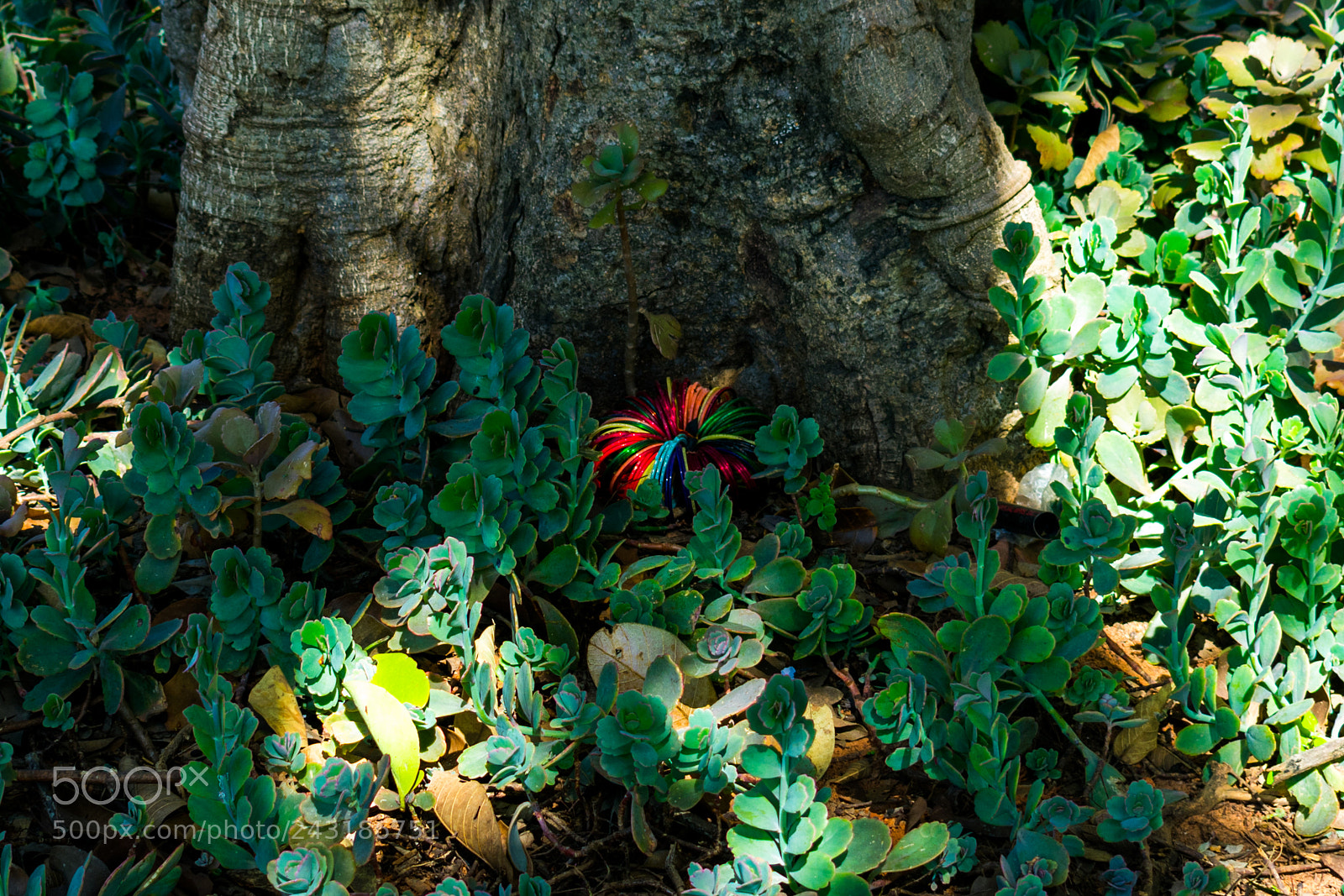 Nikon D3400 sample photo. Doesn't belong photography