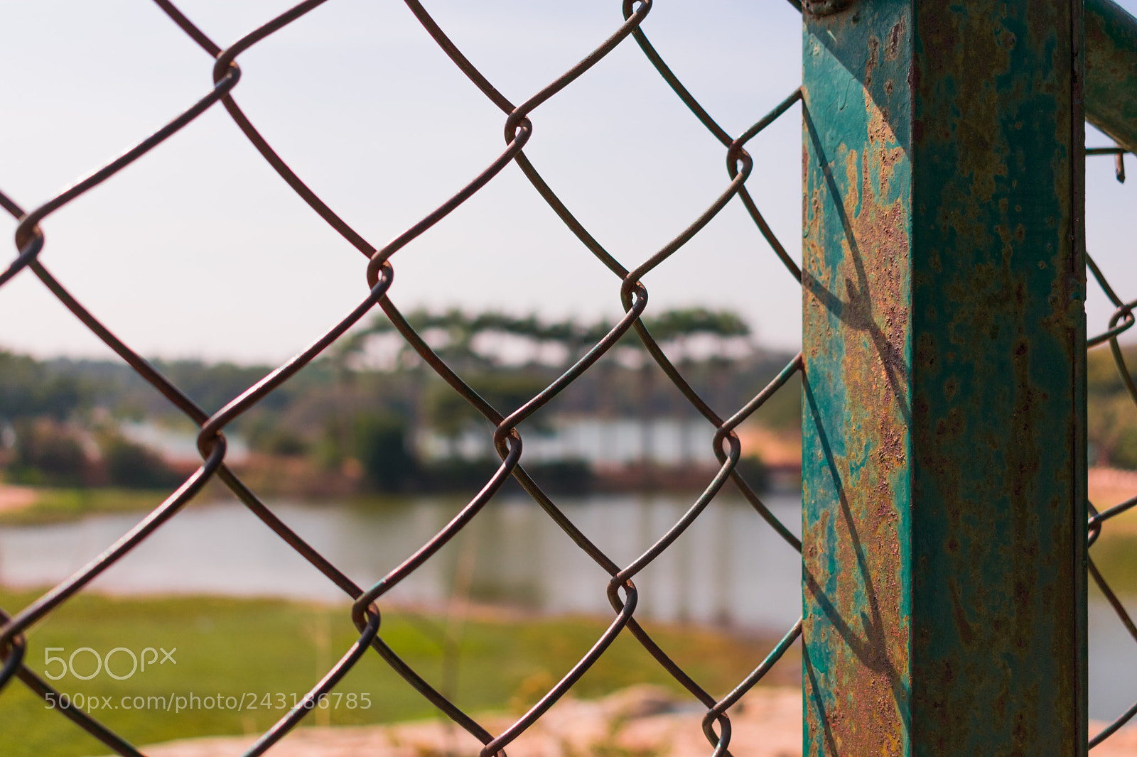 Nikon D3400 sample photo. Barred photography