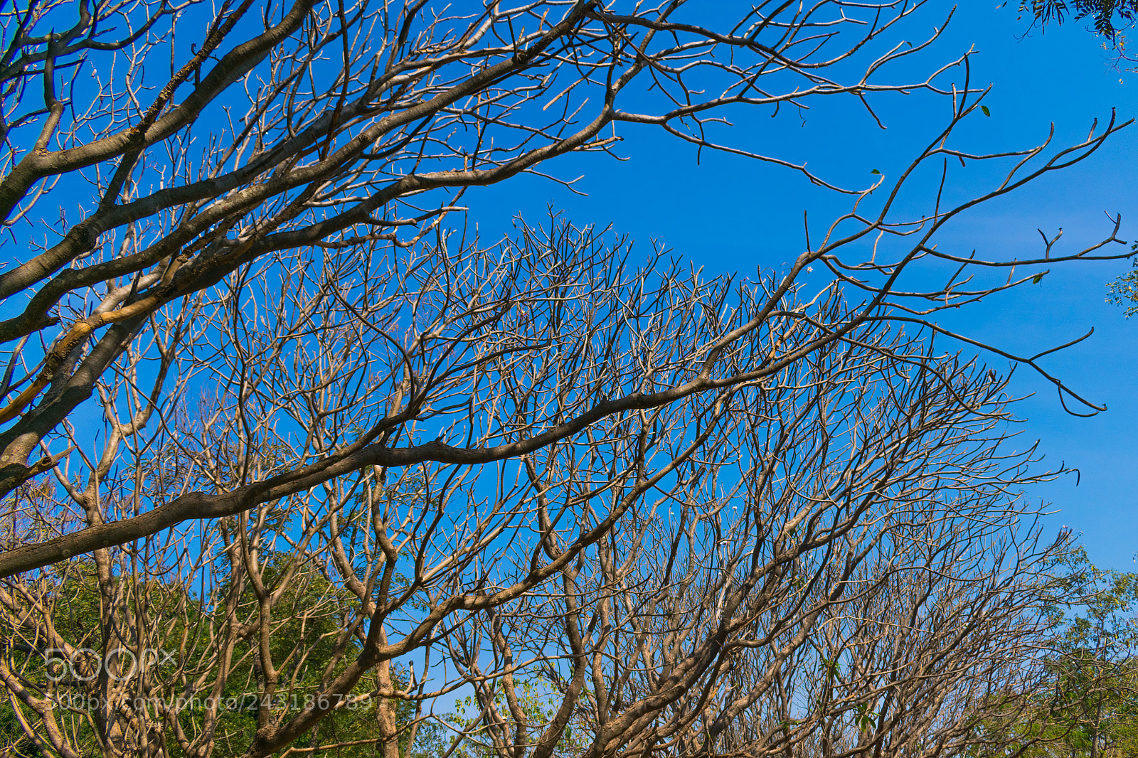 Nikon D3400 sample photo. Falling away photography
