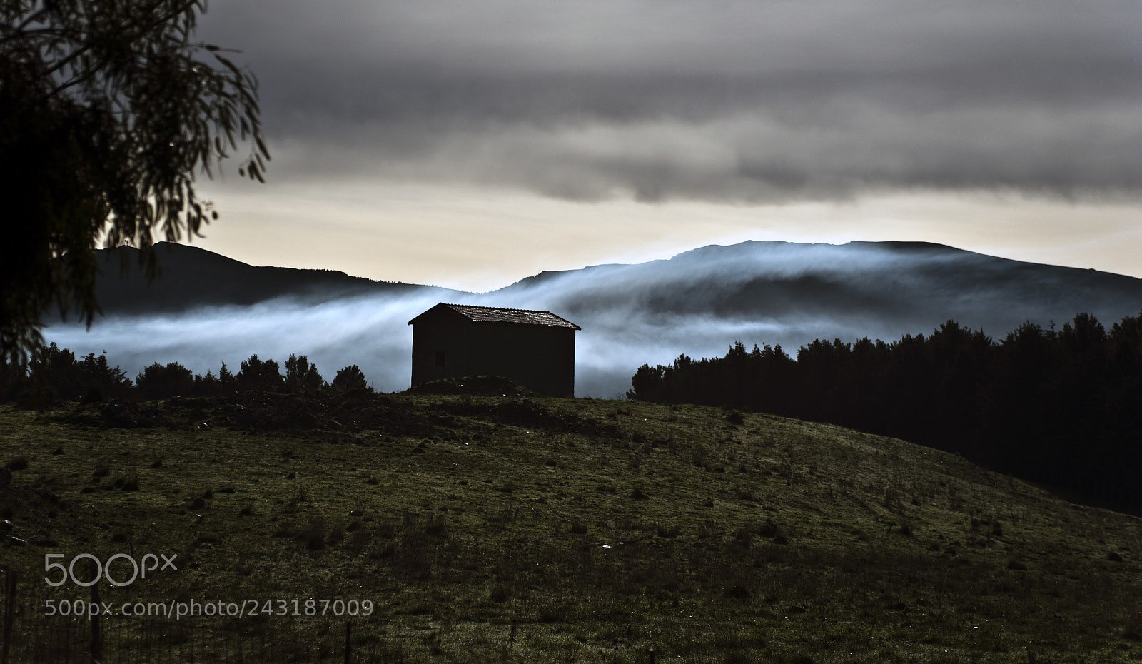 Nikon D700 sample photo. Countryside photography