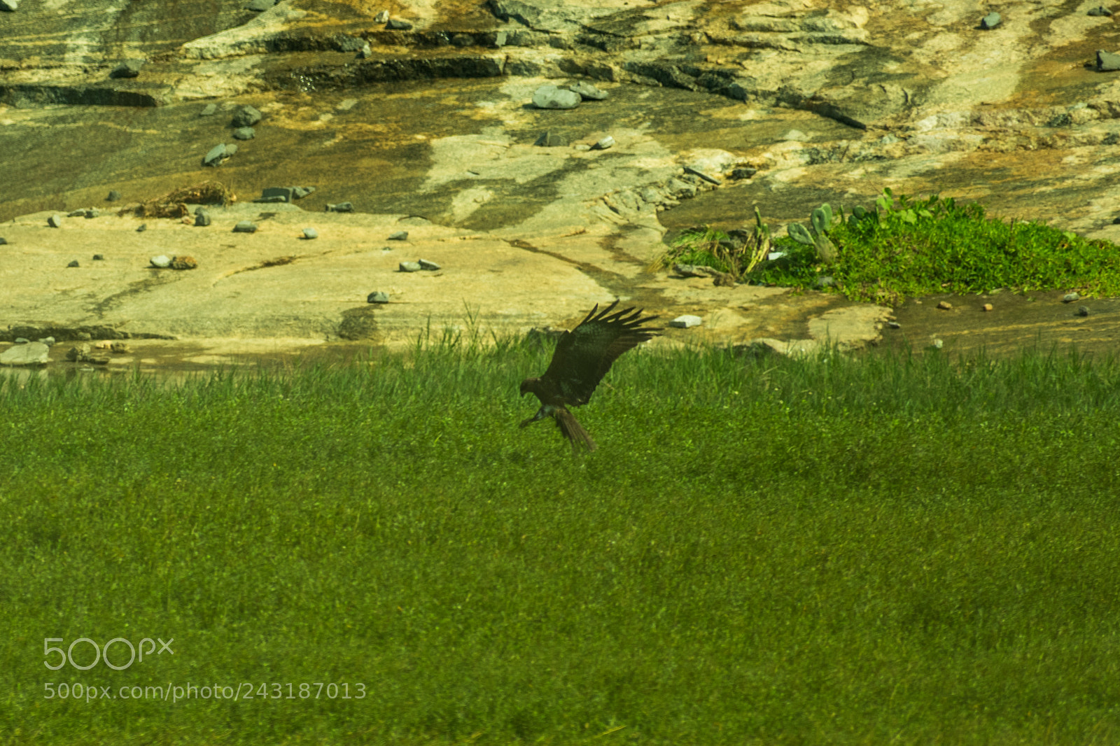 Nikon D3400 sample photo. Landing photography