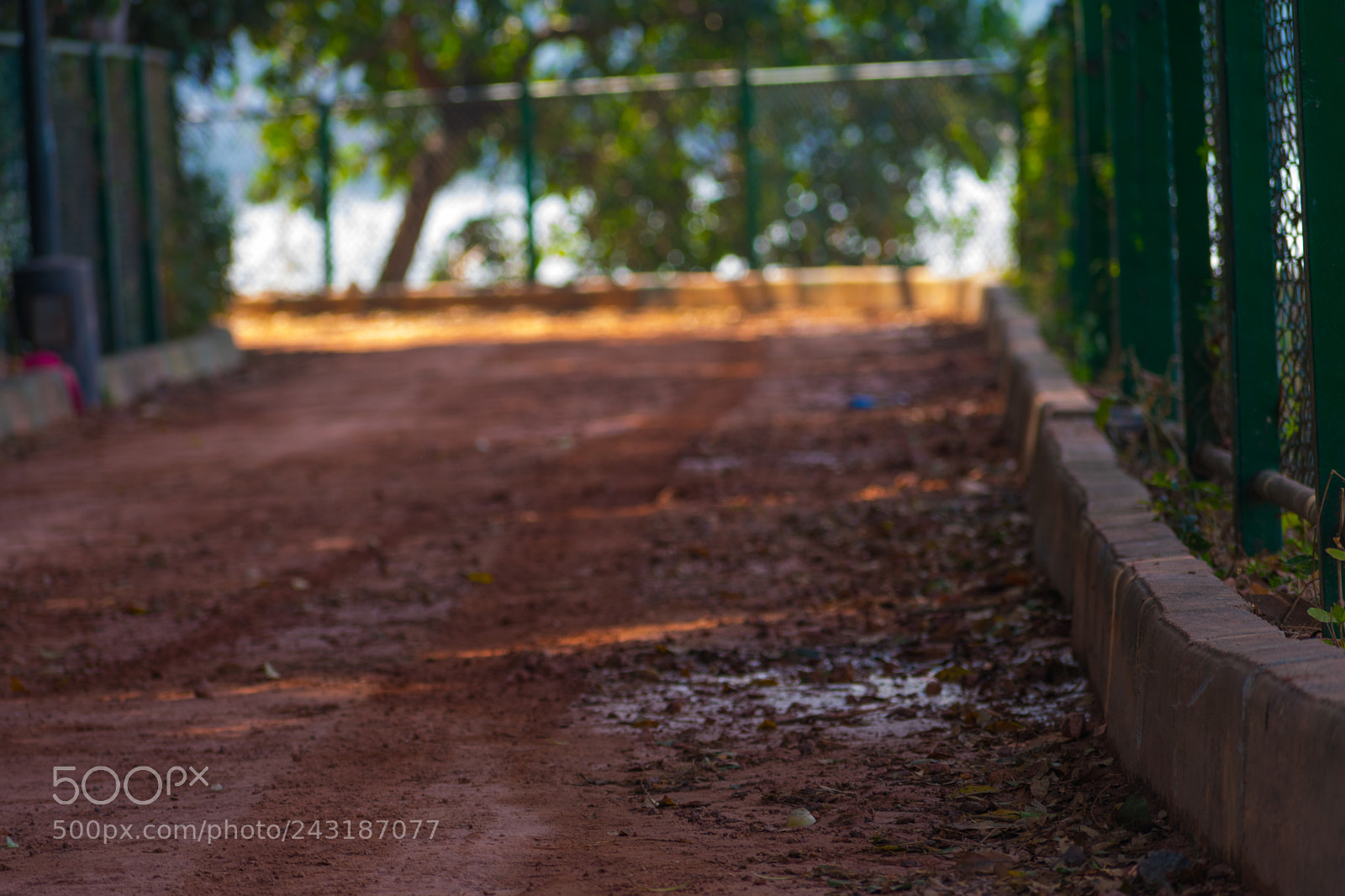 Nikon D3400 sample photo. Walking along photography