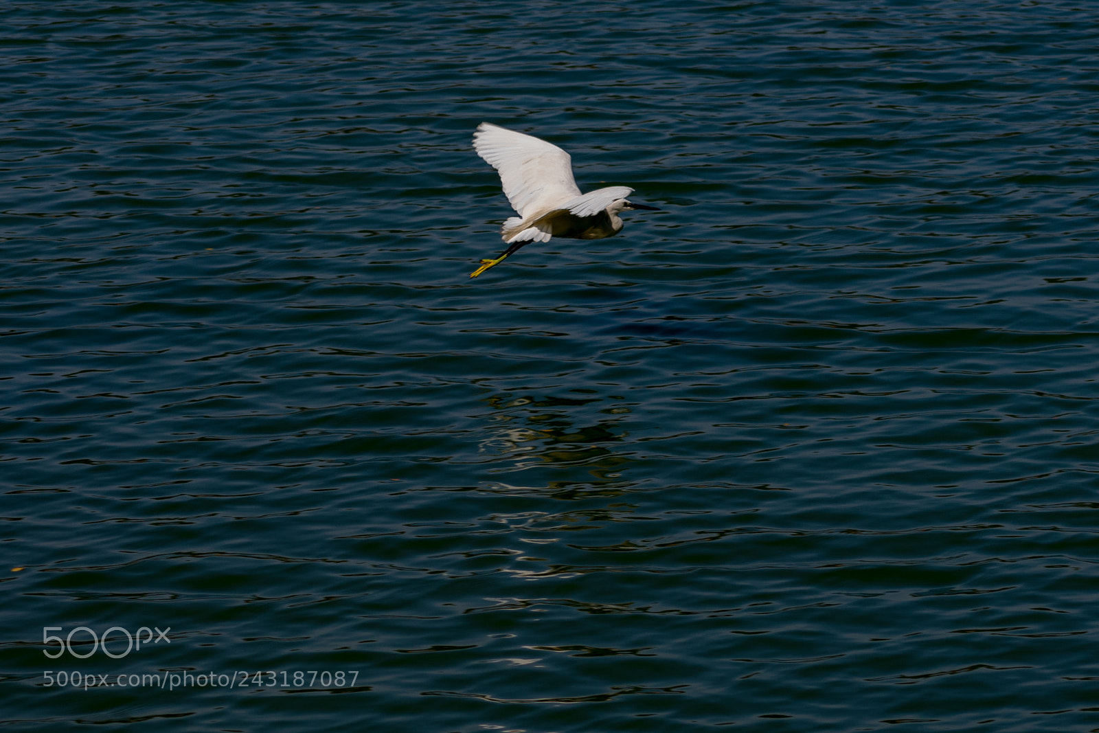 Nikon D3400 sample photo. Skimming photography