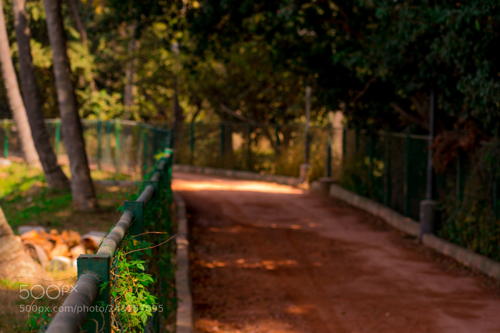 Nikon D3400 sample photo. Looking back photography