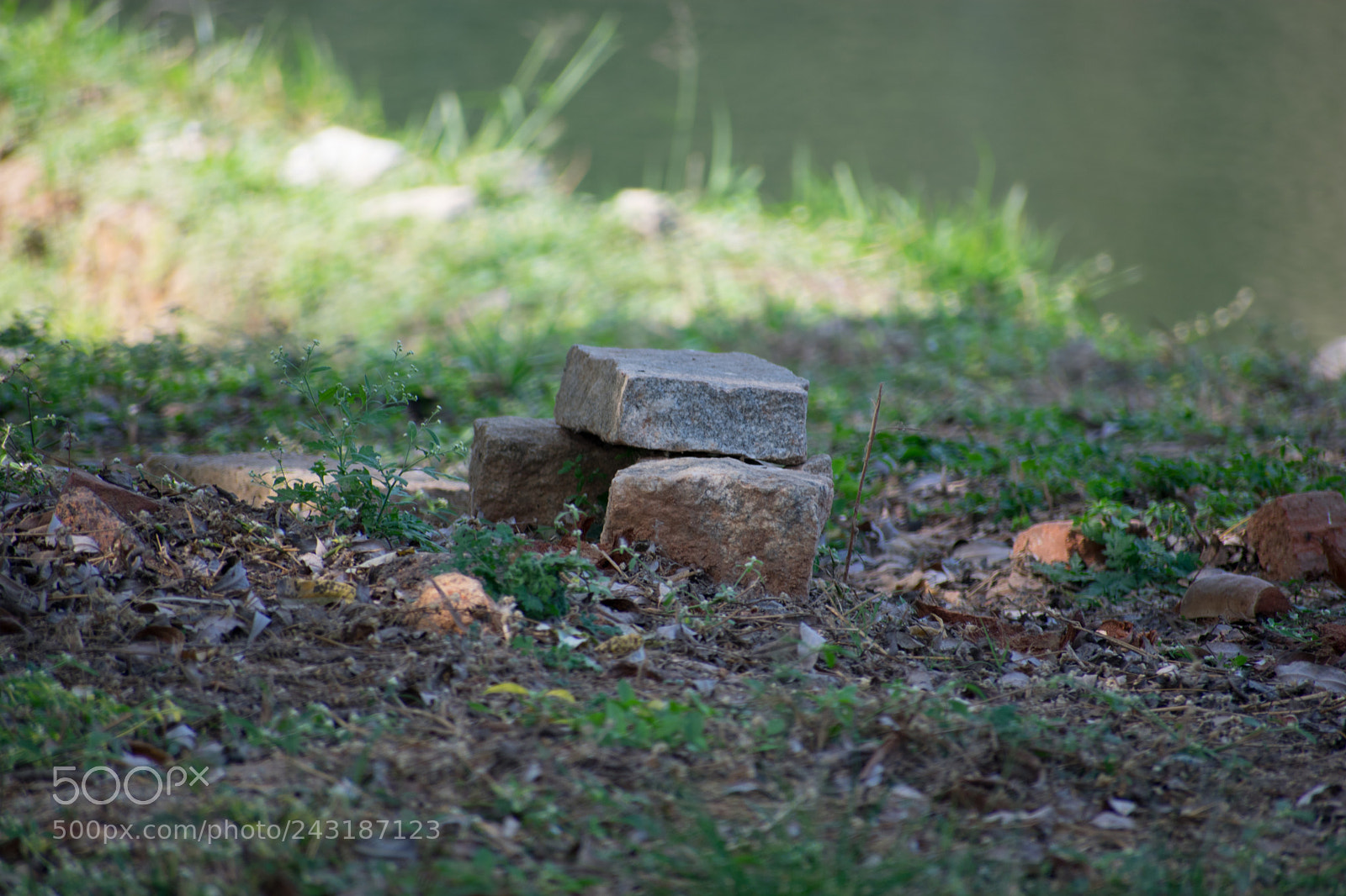 Nikon D3400 sample photo. Lonliness photography