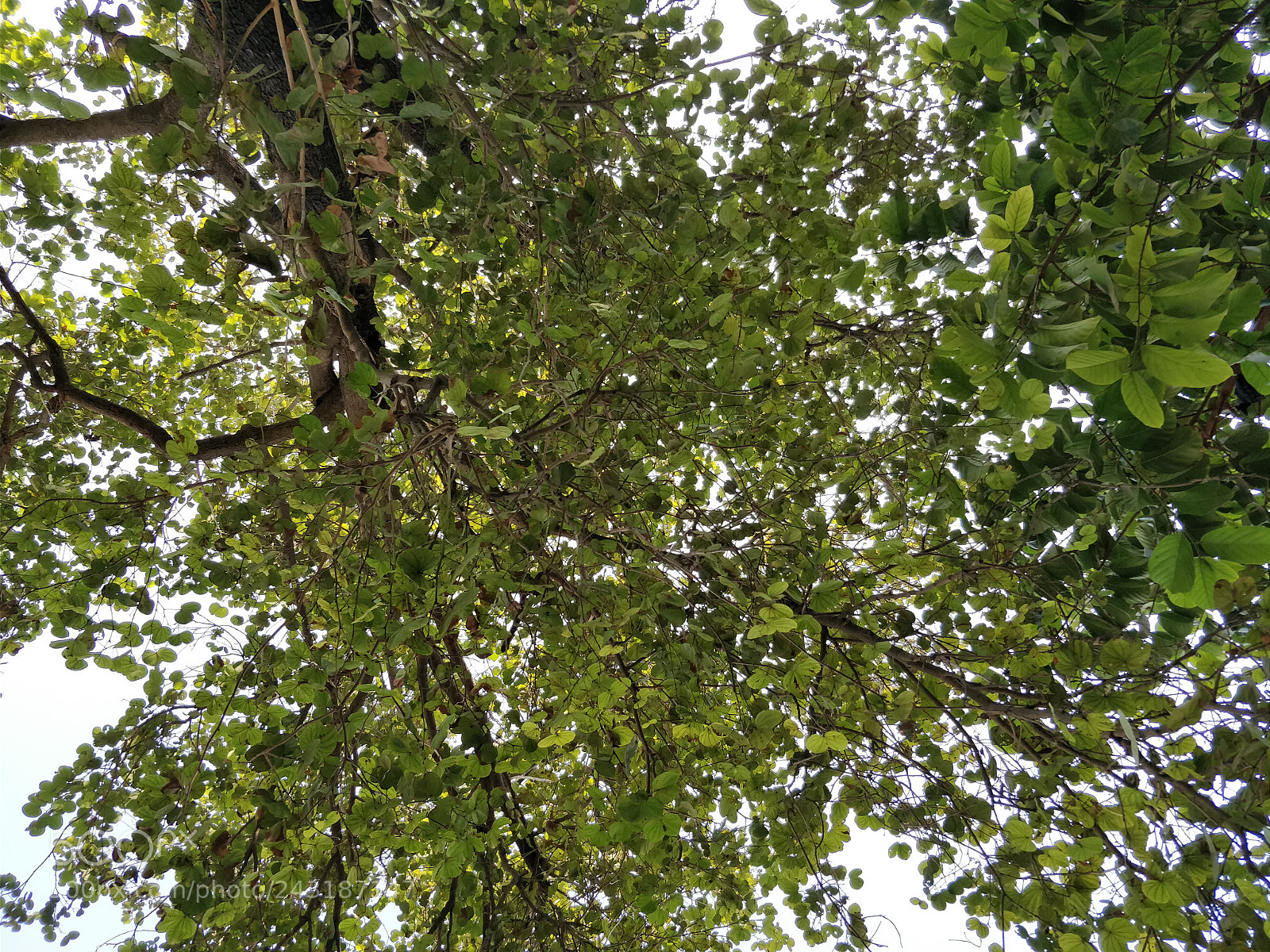 OnePlus 5 sample photo. Soothing photography