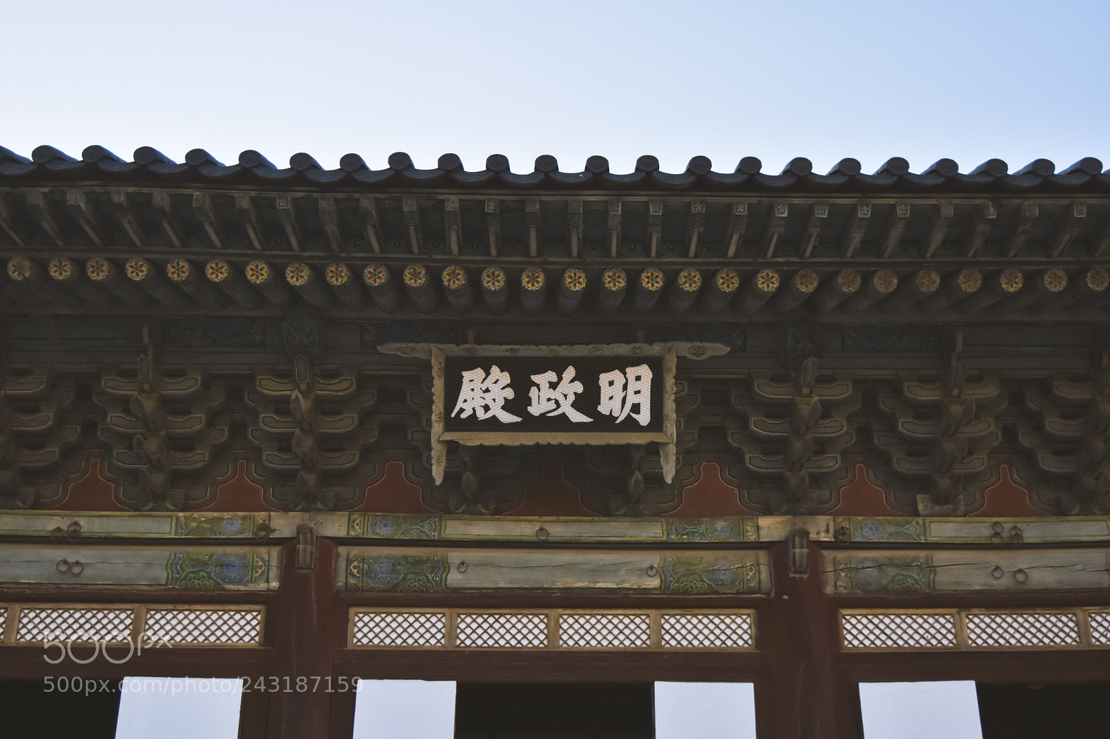 Nikon D7200 sample photo. Untitled photography