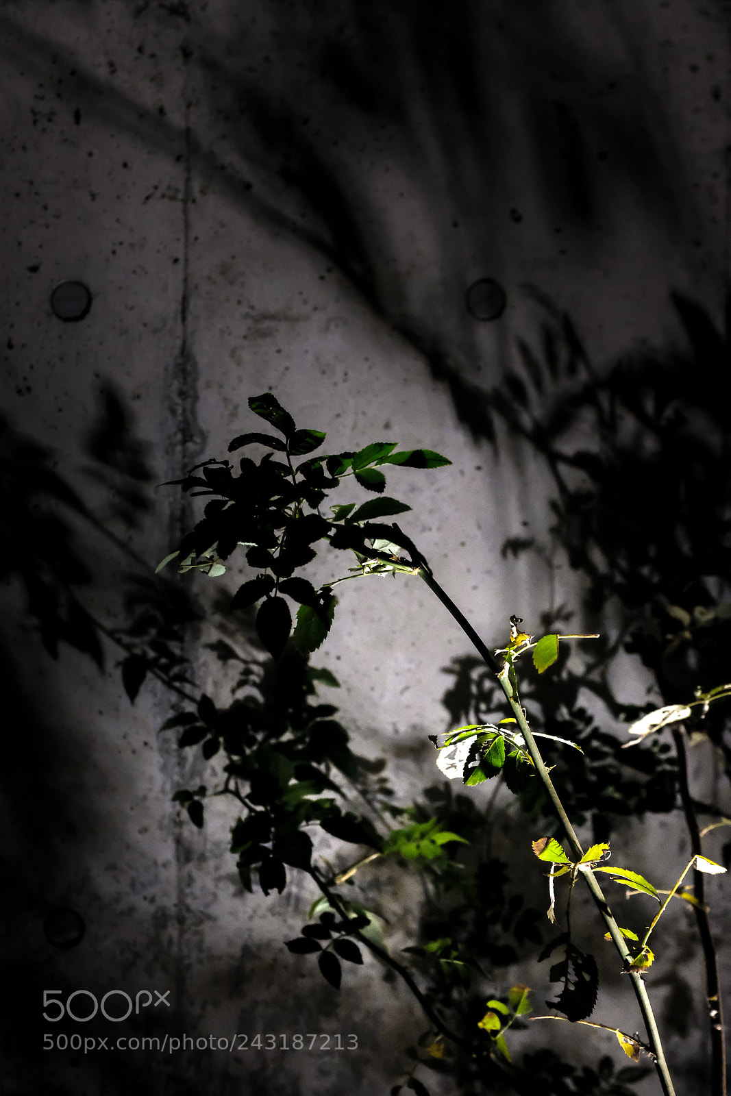 Fujifilm X100F sample photo. Ghost photography