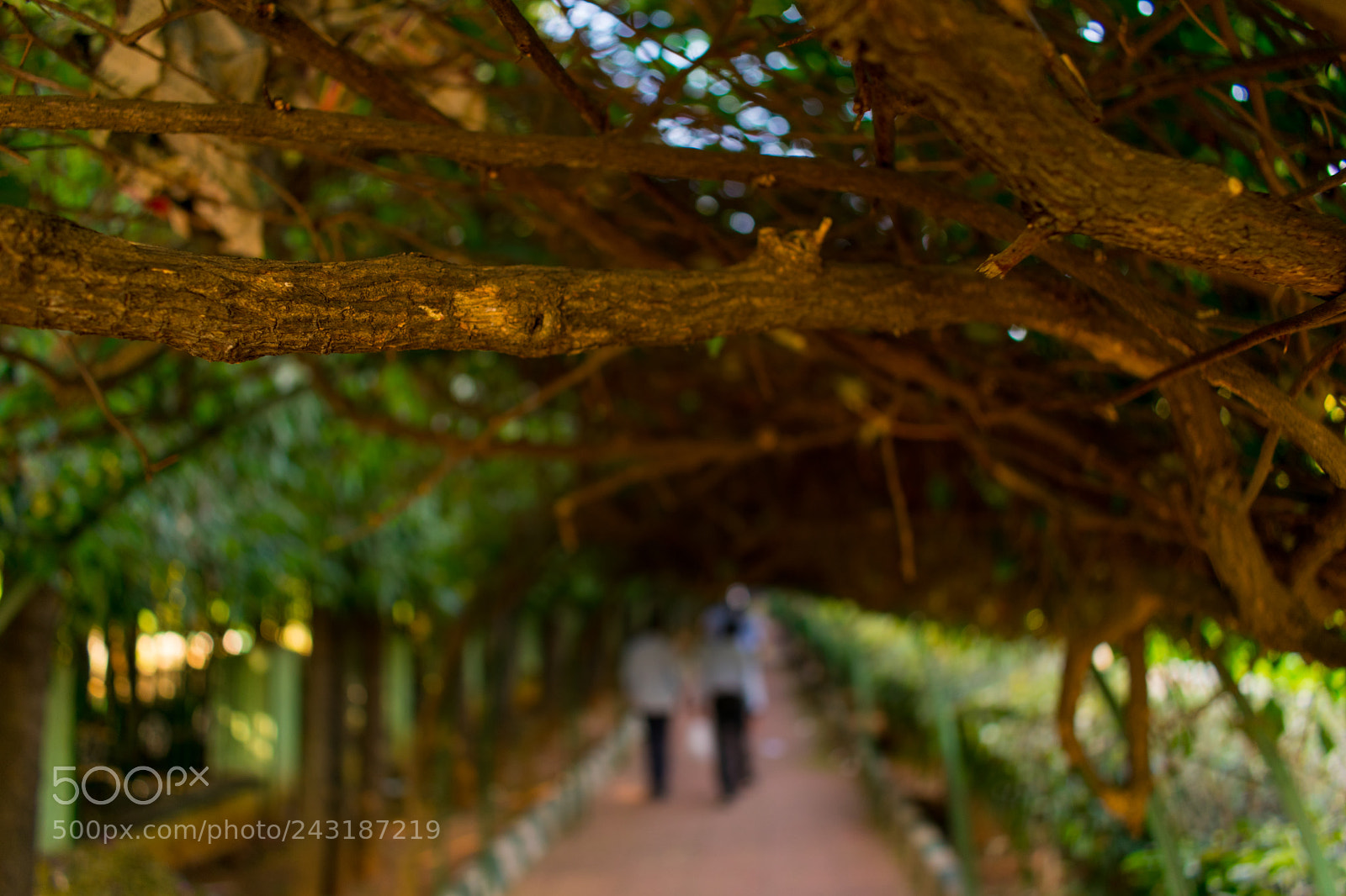 Nikon D3400 sample photo. A long long way photography