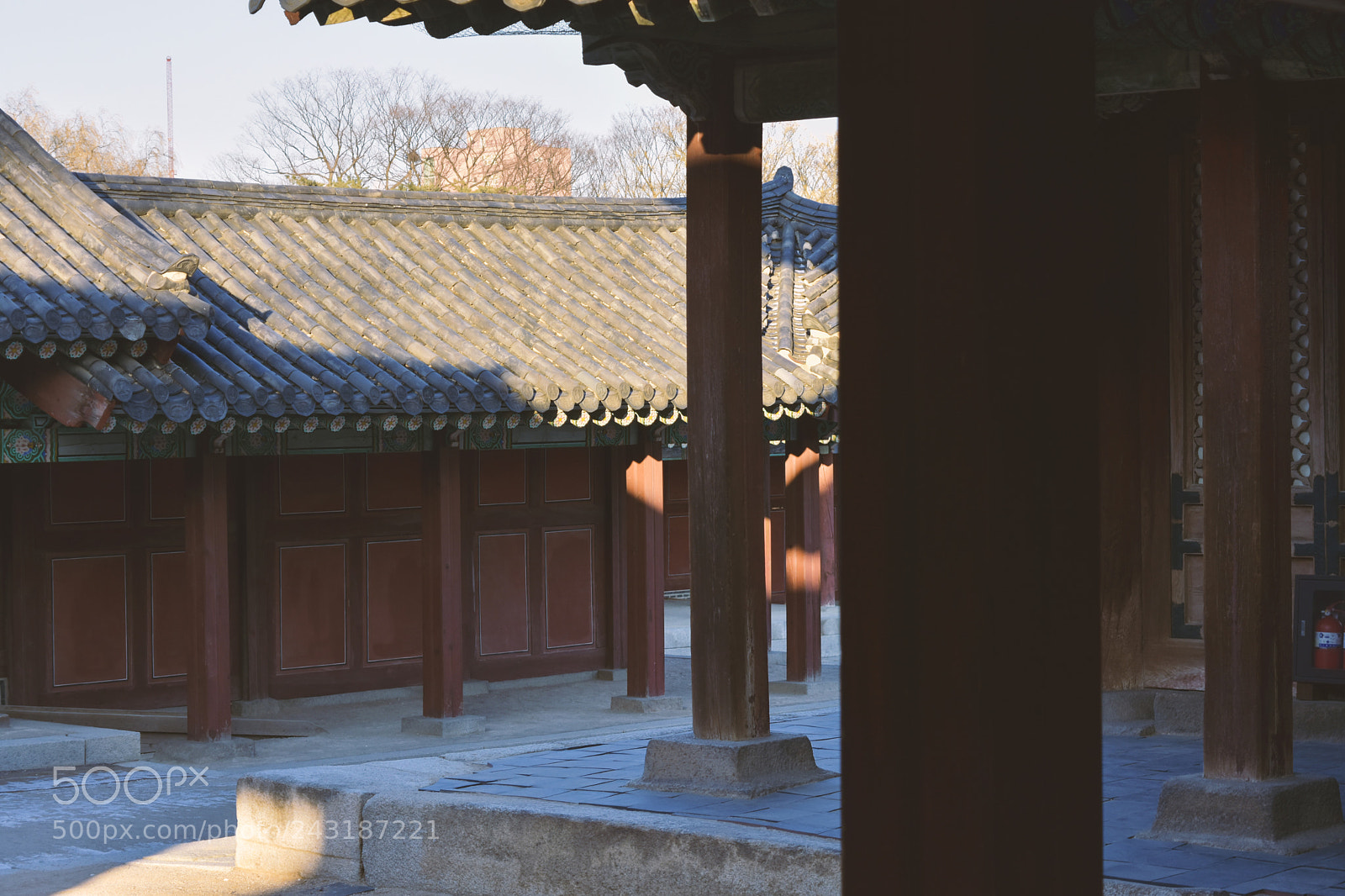 Nikon D7200 sample photo. Untitled photography