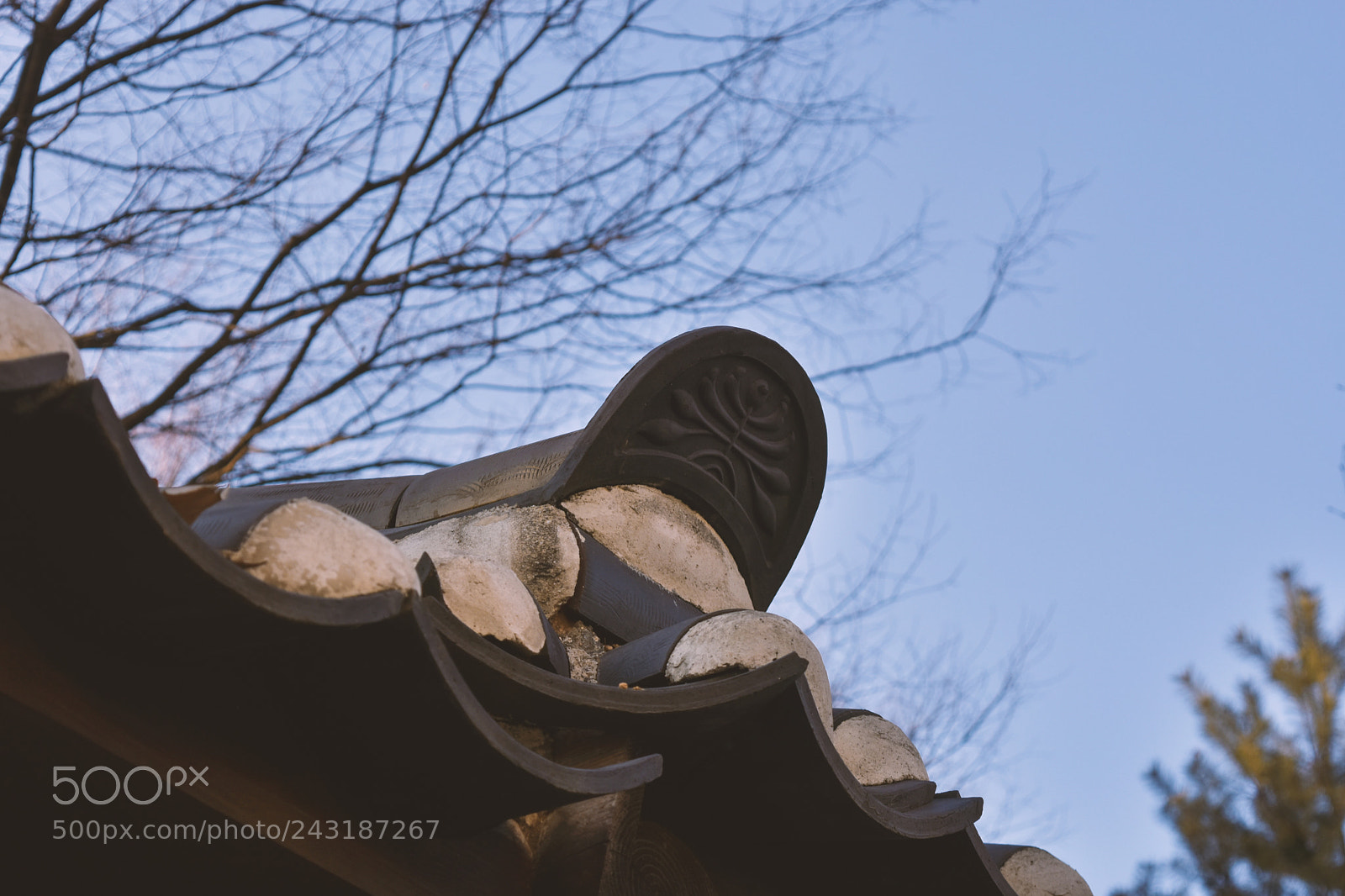 Nikon D7200 sample photo. Untitled photography