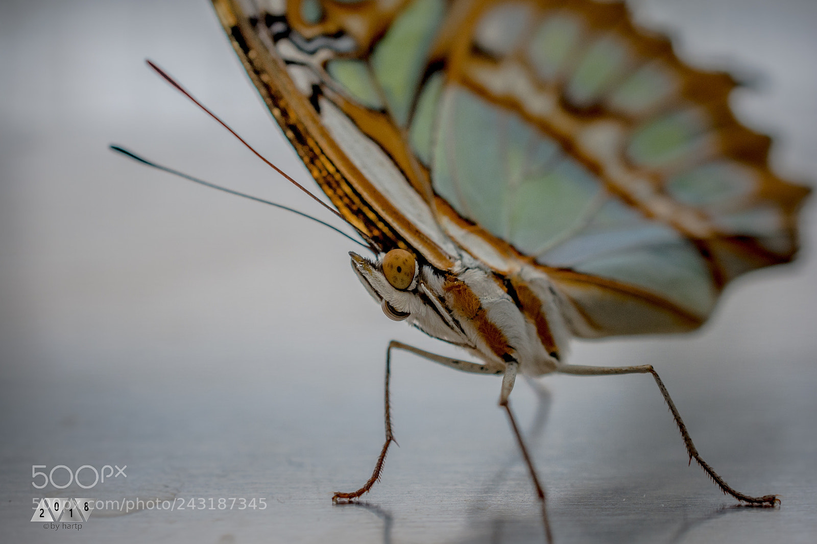 Nikon D7200 sample photo. Schieflage photography