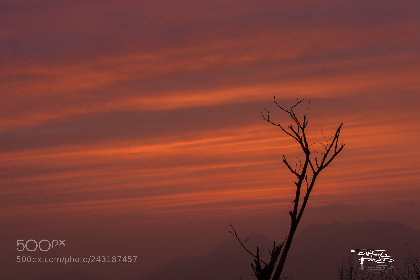 Nikon D7100 sample photo. Untitled photography