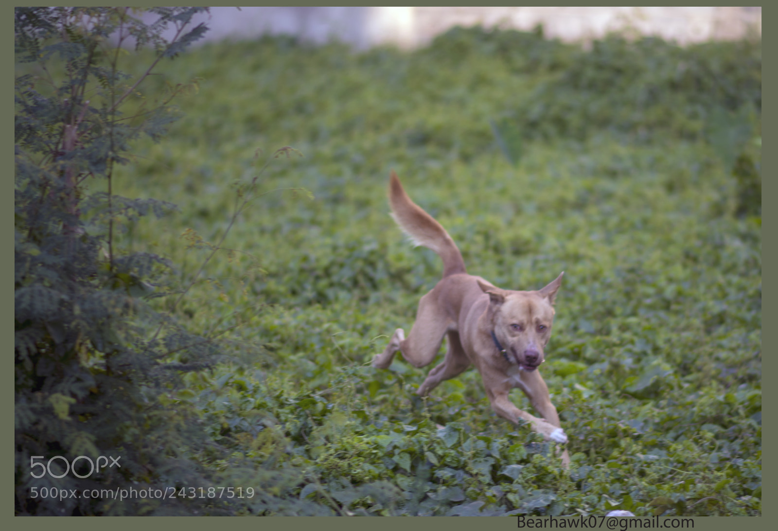 Nikon D7200 sample photo. 061.jpg photography