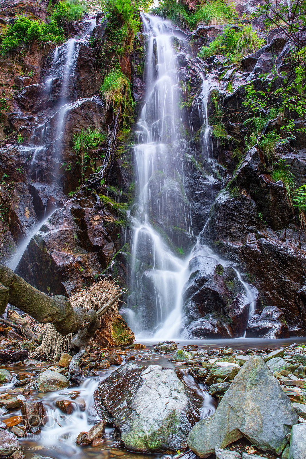 Nikon D600 sample photo. High water photography