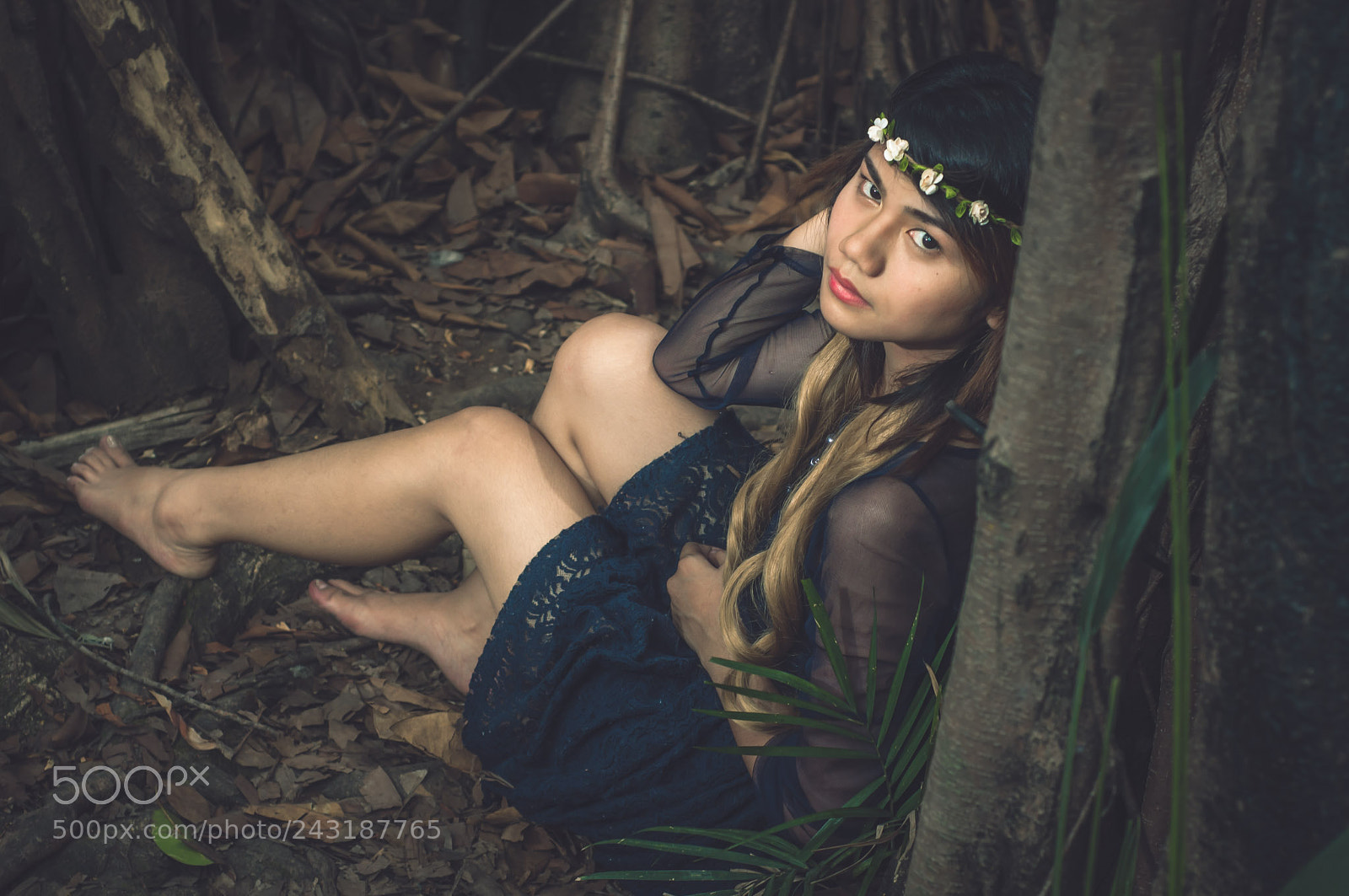 Nikon D90 sample photo. Lost in the woods photography